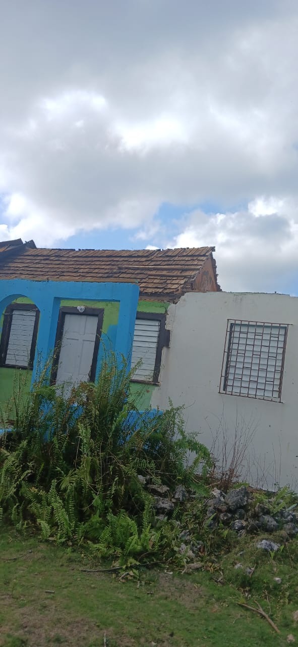 Trying desperately to recover after hurricane Melissa campaign photo, 7 of 8