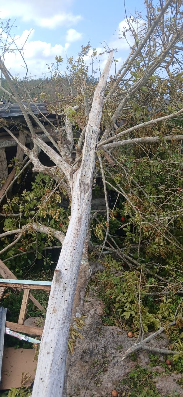Trying desperately to recover after hurricane Melissa campaign photo, 4 of 8