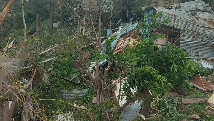 Help Rebuild Mocho, St. James JA: Support Disaster Relief photo
