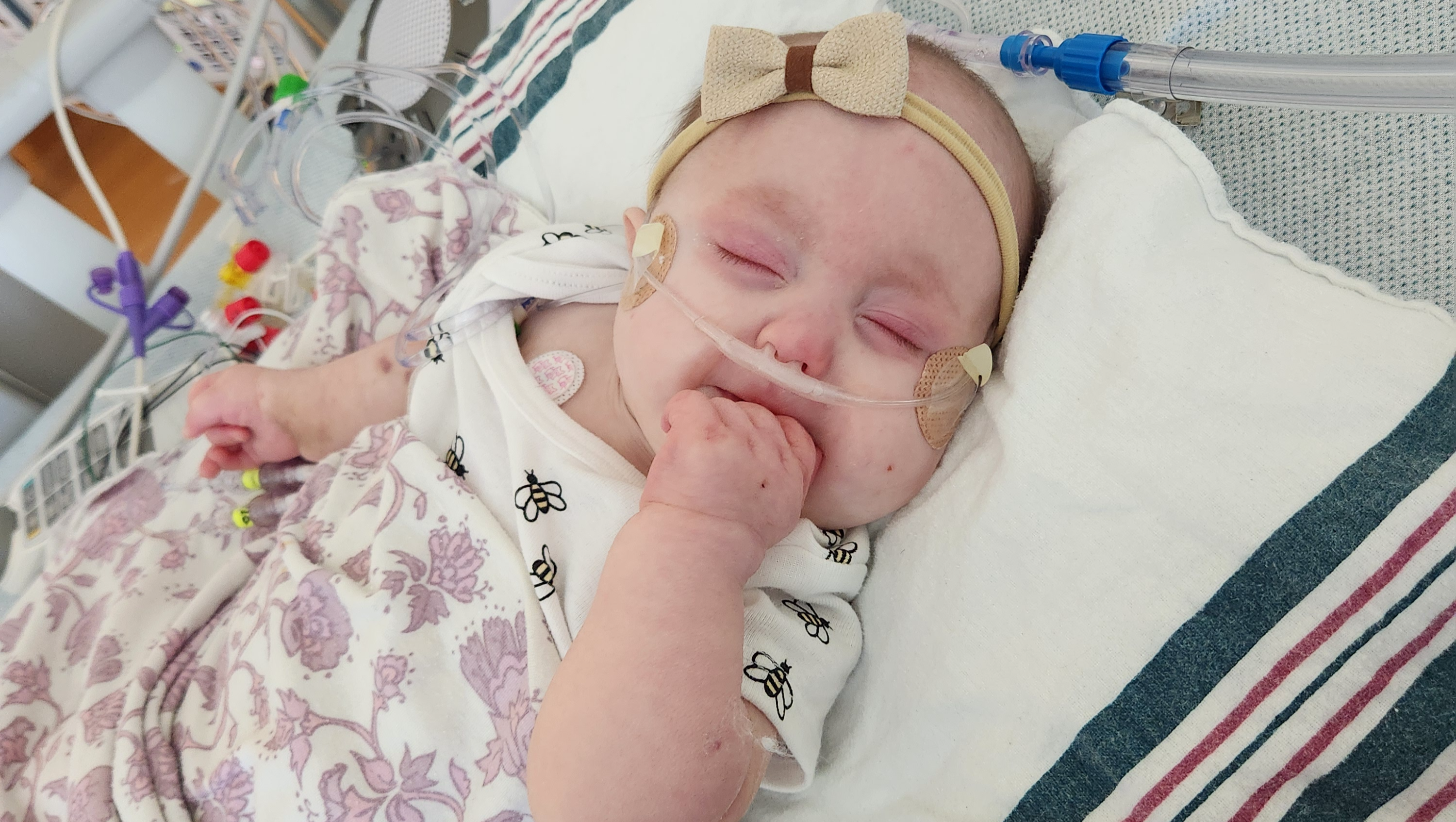 Support Lily's Family Fight Against Trisomy 18