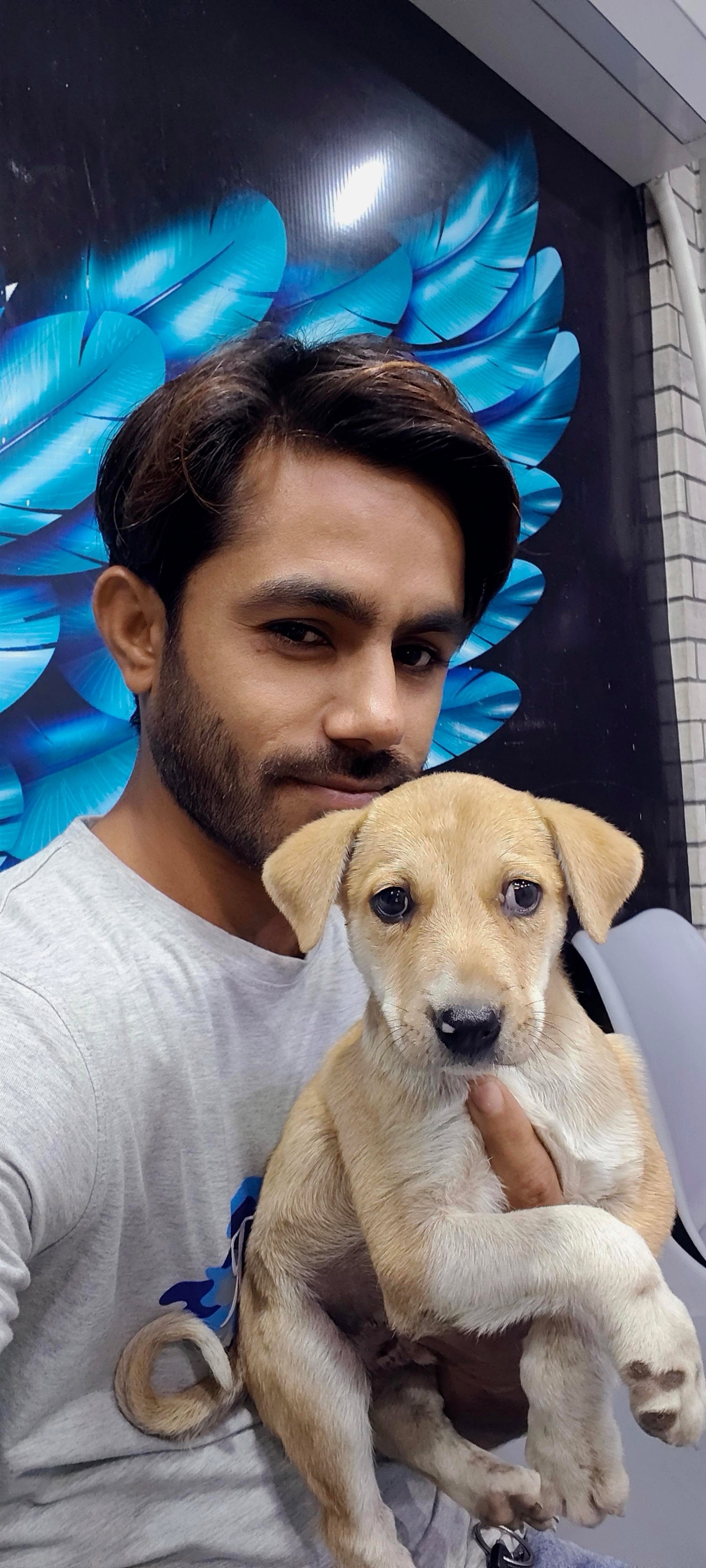 Fundraiser by Samira Asif : Help Save and Shelter Stray Animals in Pakistan