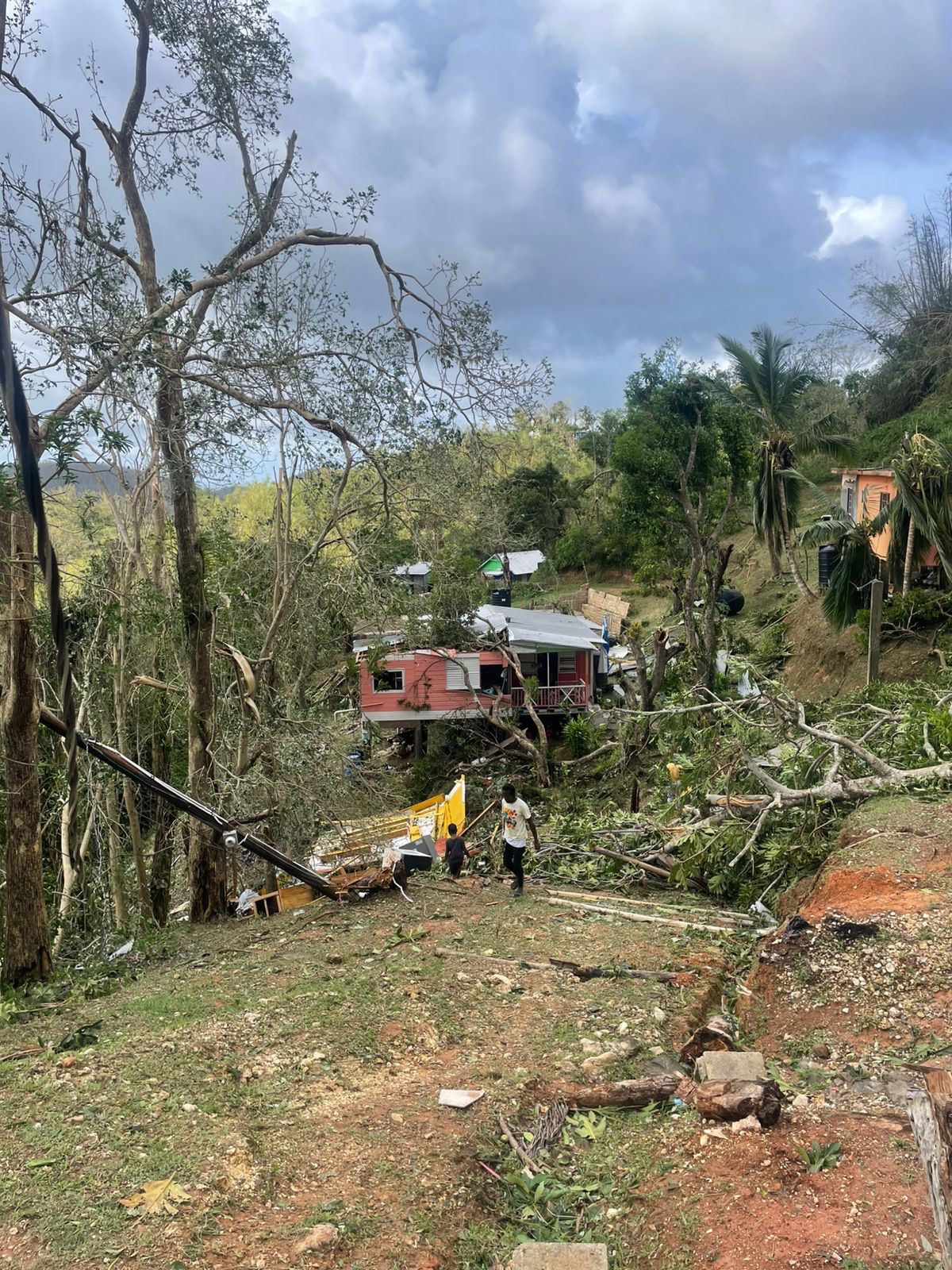 User-uploaded image 1