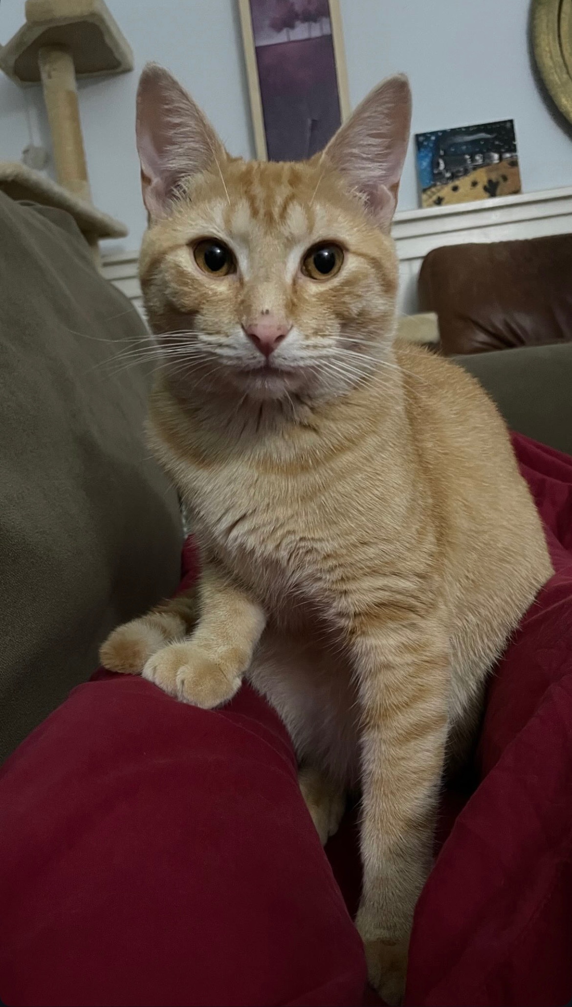 User-uploaded image 1