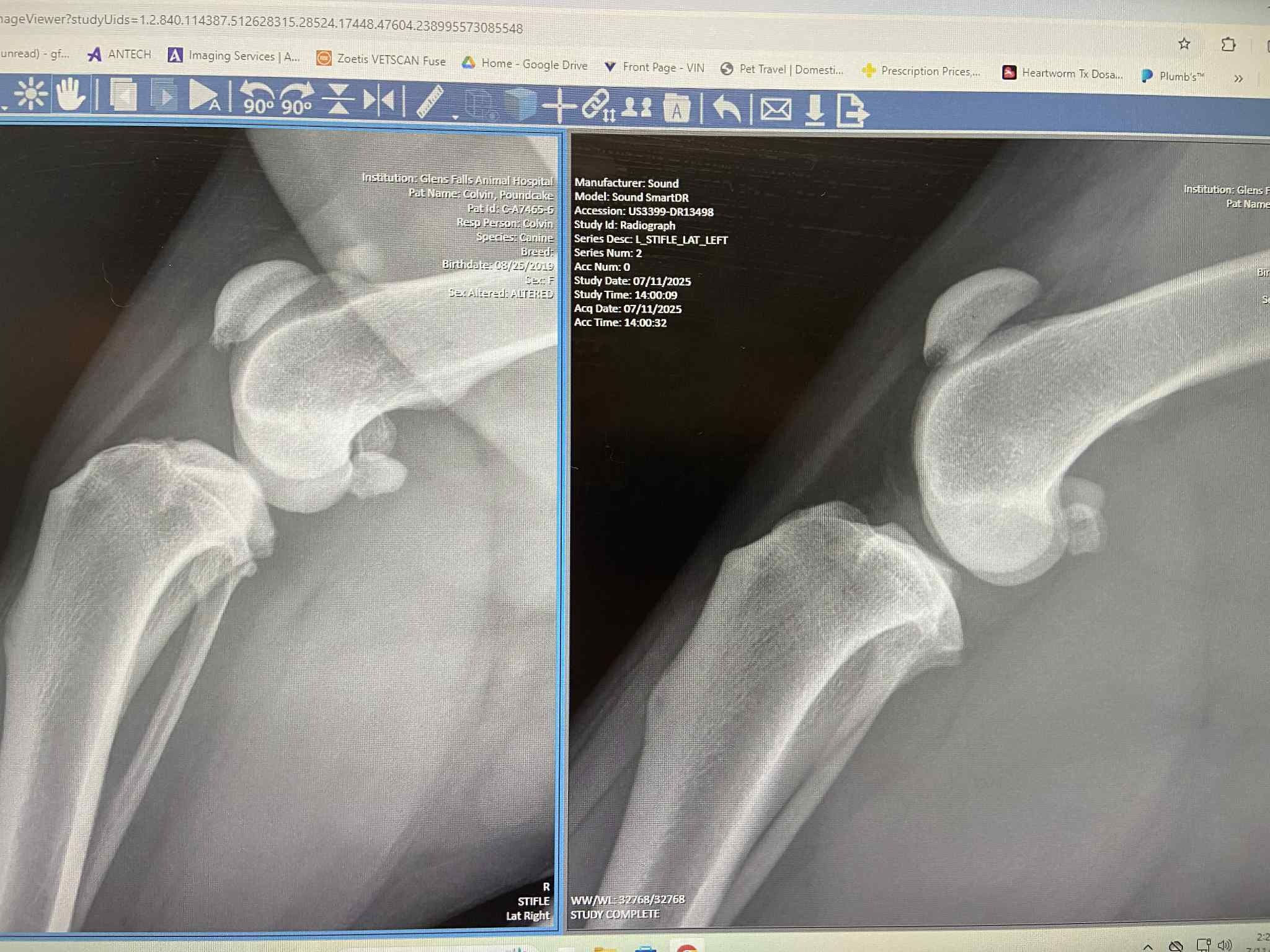Help Save a Rescued Dog’s Leg After a Lifetime of Giving campaign photo, 4 of 8