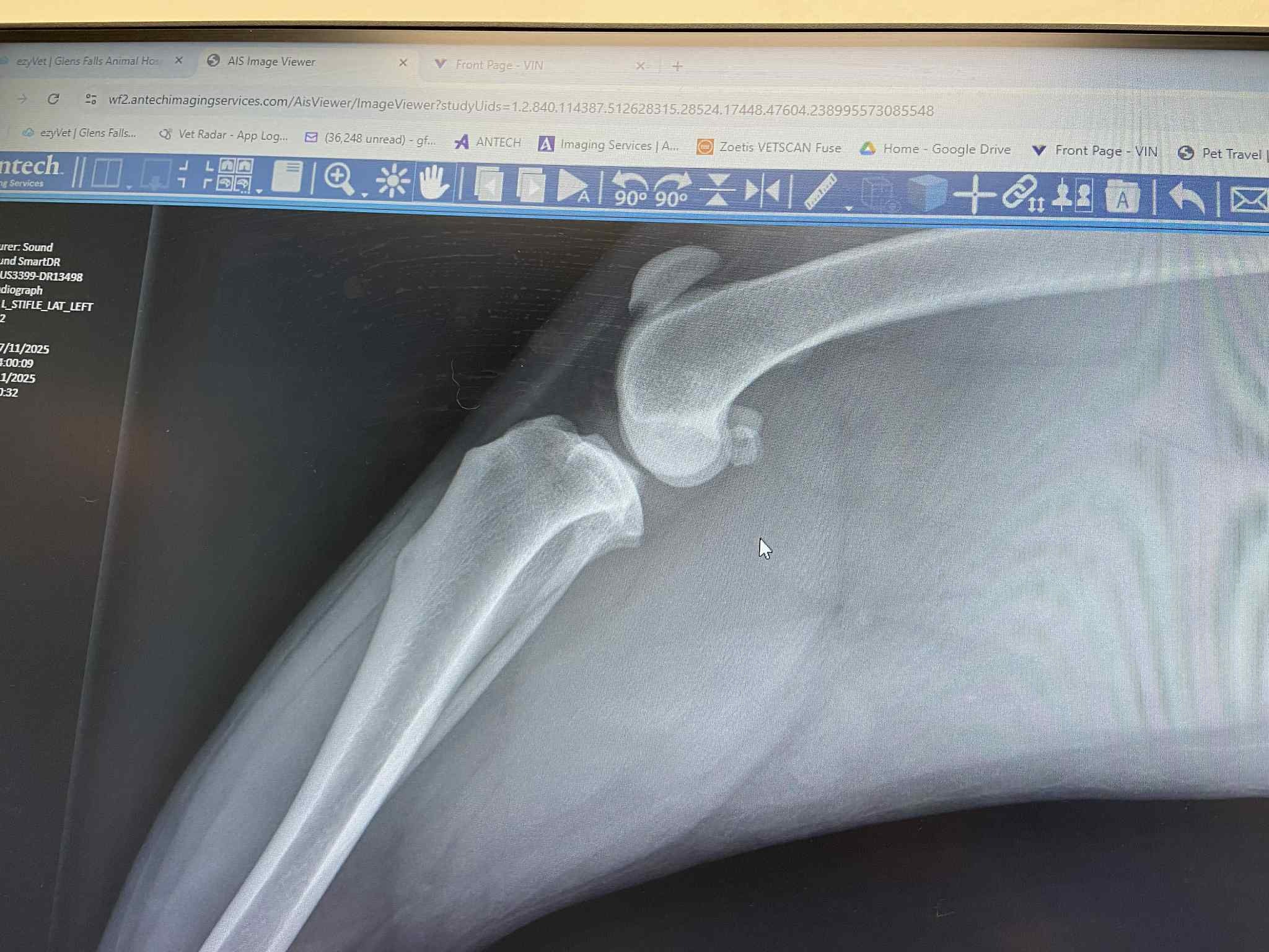 Help Save a Rescued Dog’s Leg After a Lifetime of Giving campaign photo, 6 of 8