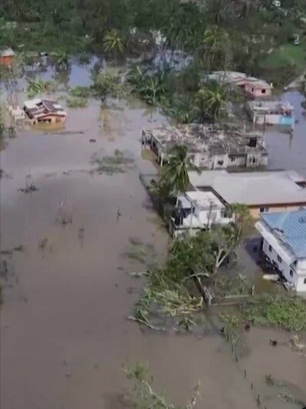 Support Monsta and his community's recovery from the storm campaign photo, 4 of 5