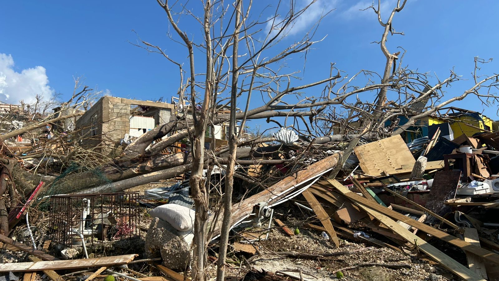 Support Jermaine Wilson's Family Post-Hurricane Melissa photo