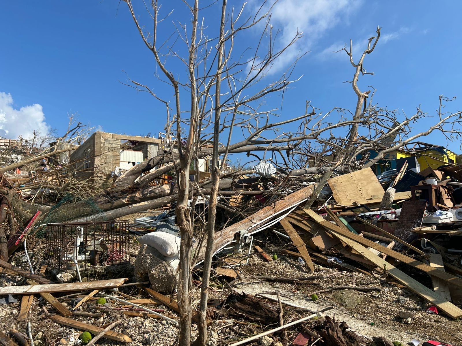 Support Jermaine Wilson's Family Post-Hurricane Melissa campaign photo, 7 of 8
