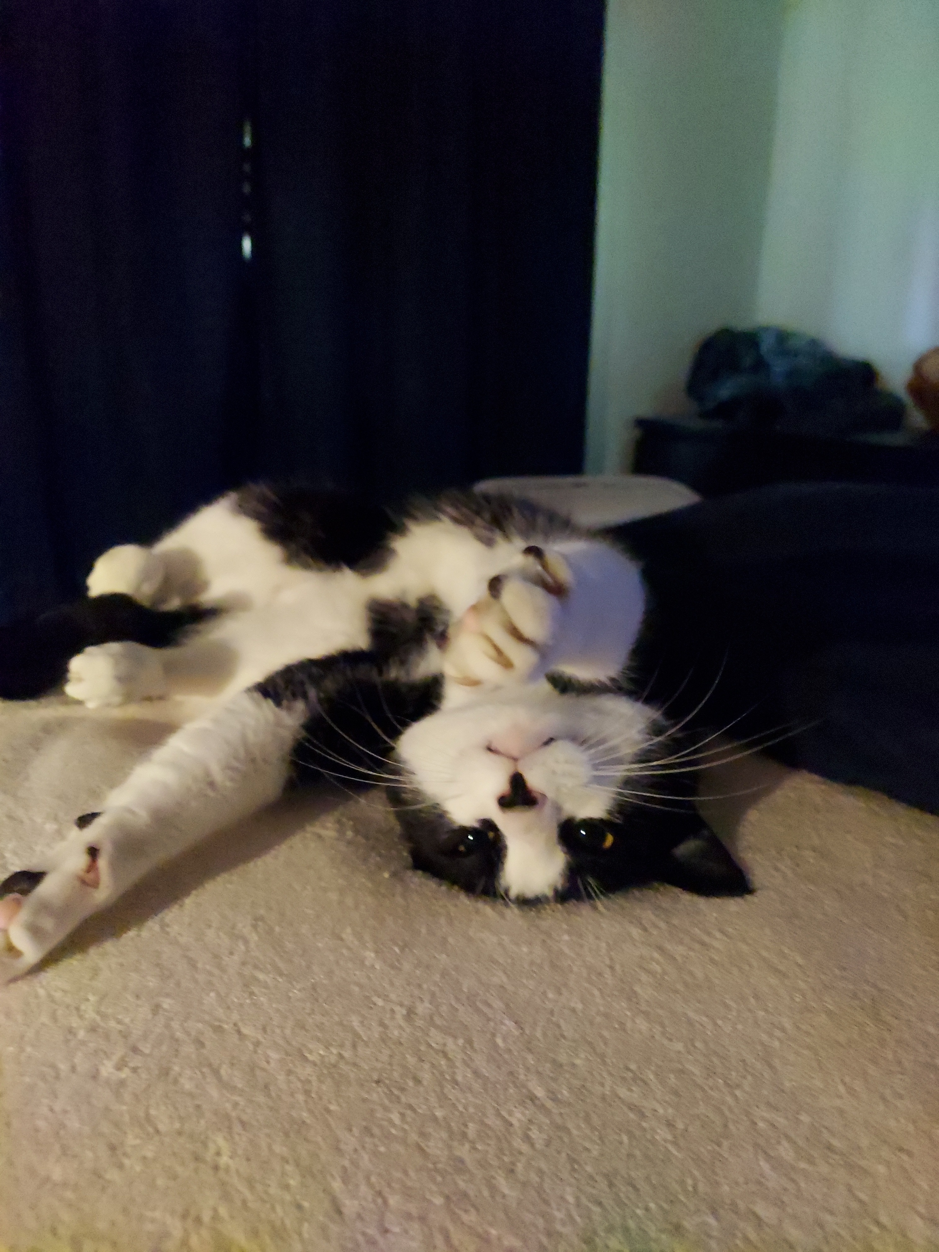 User-uploaded image 1