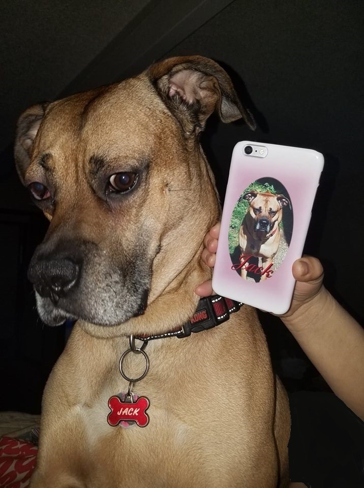 Help me Give Jack the Comfort He Deserves in His Last Day campaign photo, 6 of 8