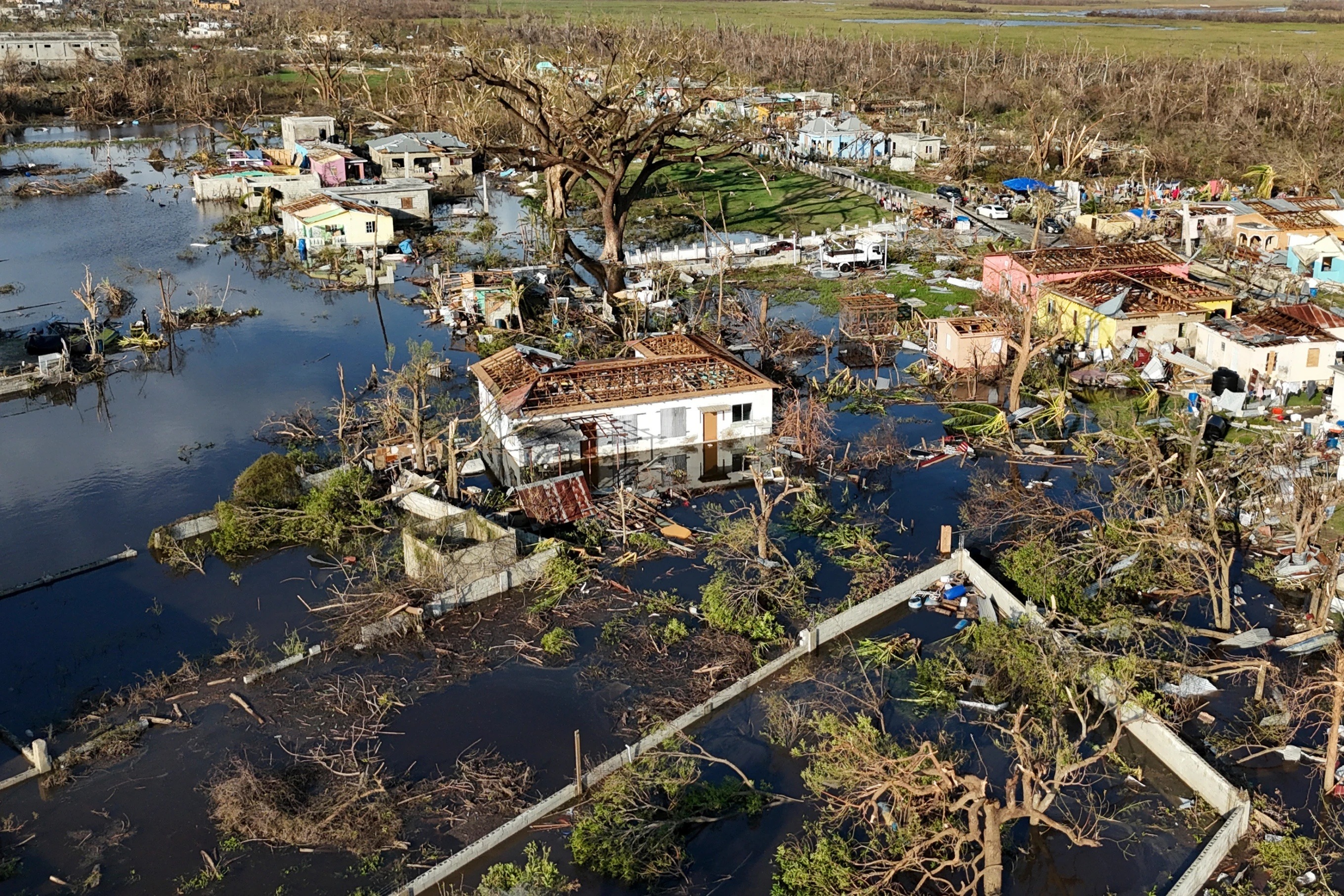 Cliff Berry supports Jamaica's Recovery: Donate for Relief campaign photo, 2 of 8