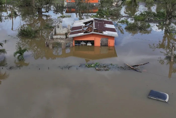 Cliff Berry supports Jamaica's Recovery: Donate for Relief campaign photo, 5 of 8