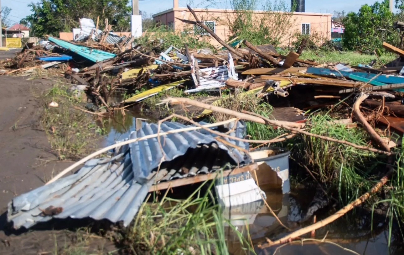 User-uploaded image 1