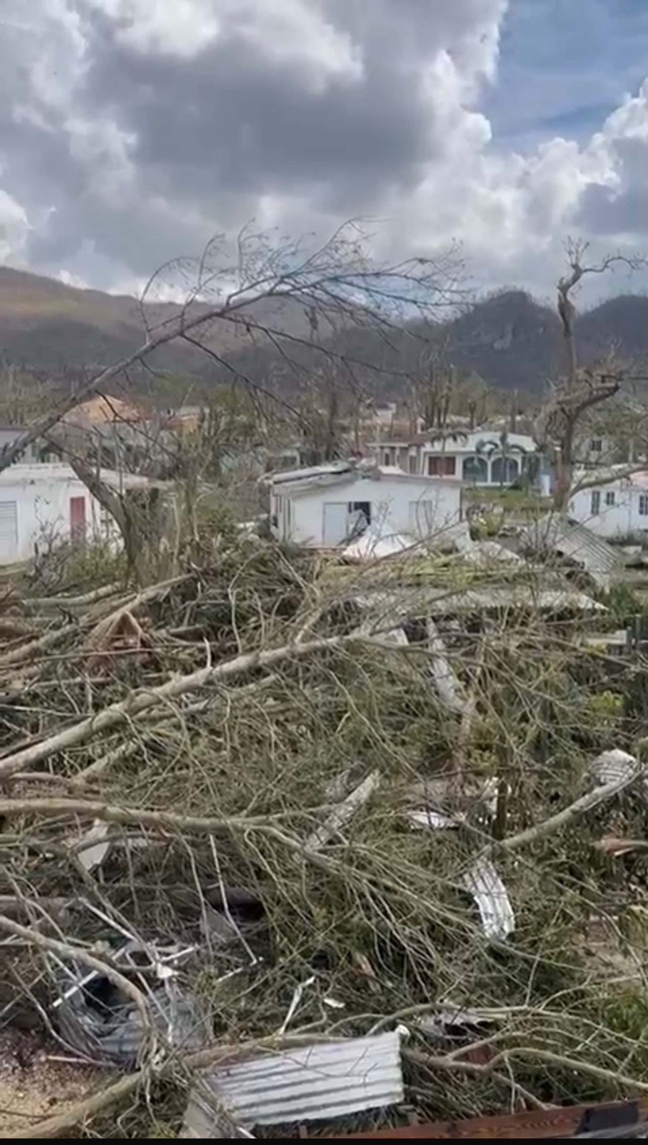 Rebuild Westmoreland JA After Hurricanes Melissa campaign photo, 5 of 8