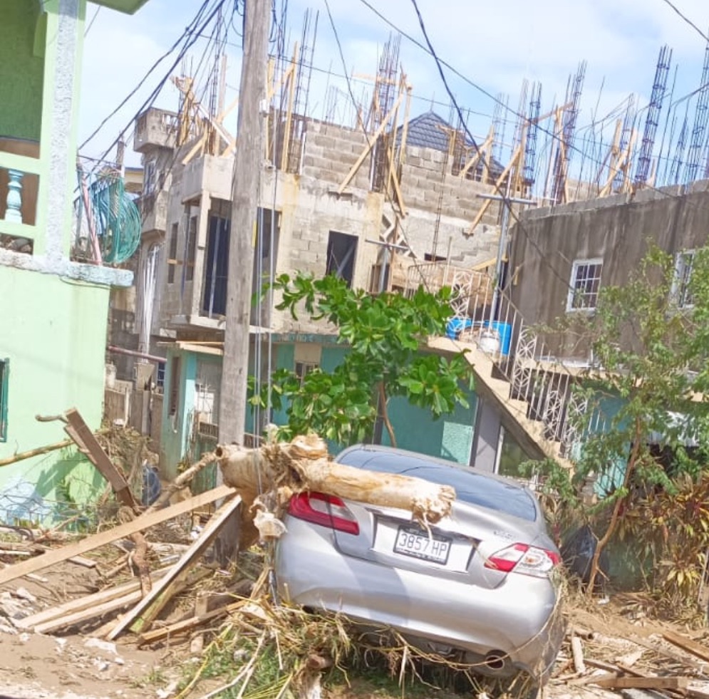 Hurricane Relief: Help Moms & Babies in Jamaica campaign photo, 7 of 8