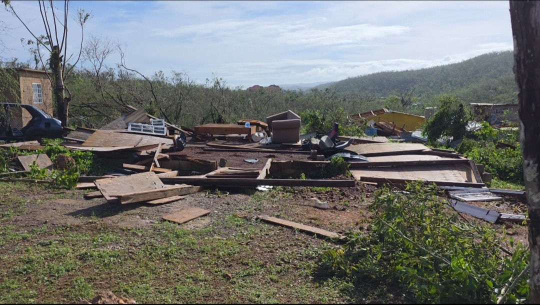 Support RODA Livestock Farm and Community Recovery in St Ann campaign photo, 7 of 8