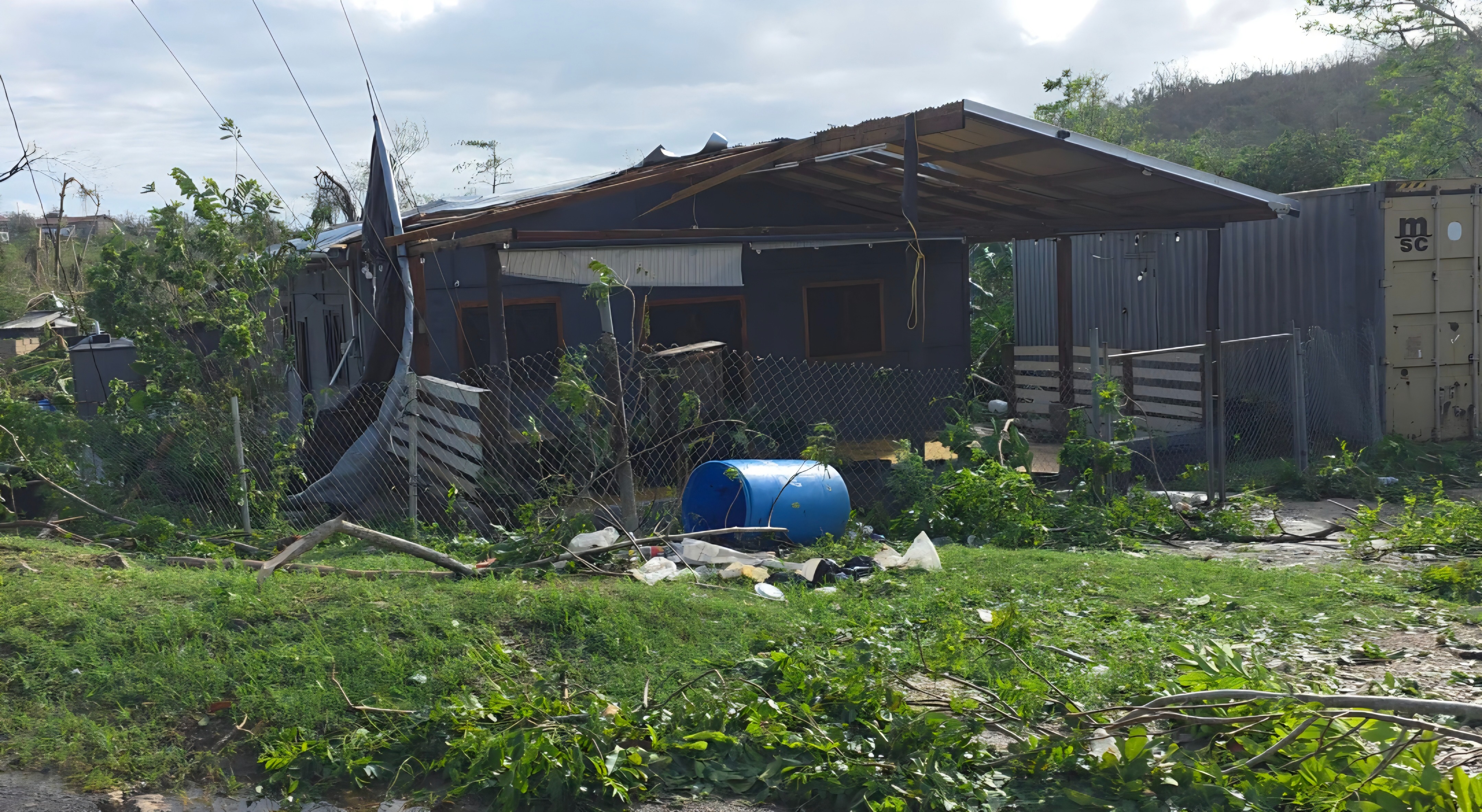 Support RODA Livestock Farm and Community Recovery in St Ann campaign photo, 5 of 8