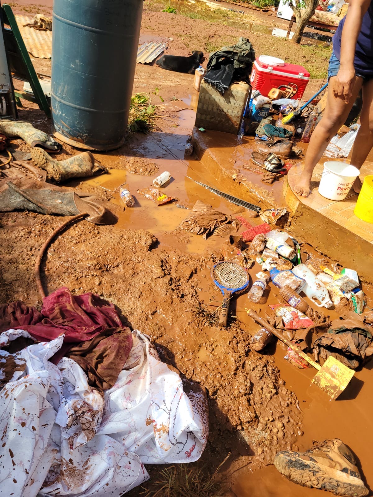 Help Rebuild Our Home in  Parklee Mountainside,St. Elizabeth campaign photo, 2 of 5