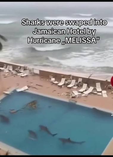 Join Natalie and Robert — Hurricane Melissa Relief campaign photo, 5 of 8