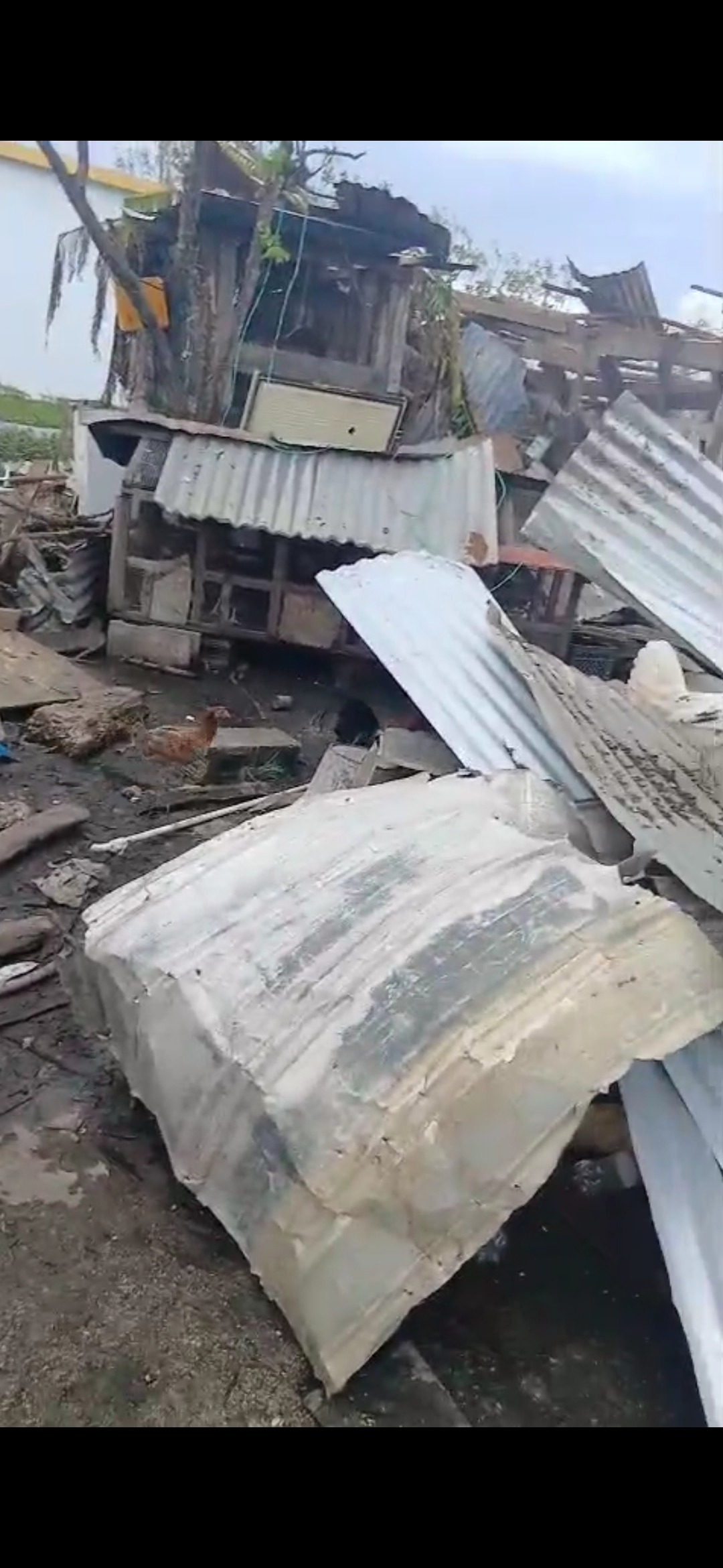 Help Ras Slick Rebuild After Hurricane Melissa campaign photo, 4 of 5