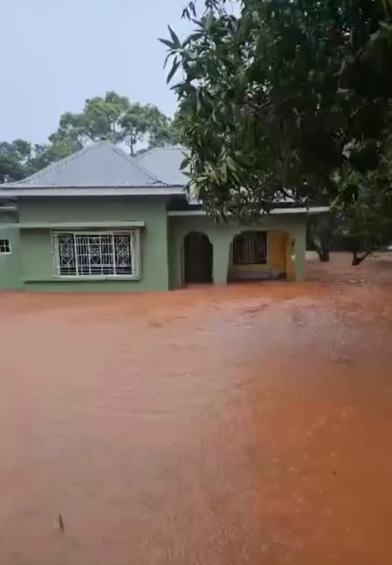 Help Western Jamaica Families Recover and Rebuild campaign photo, 5 of 6