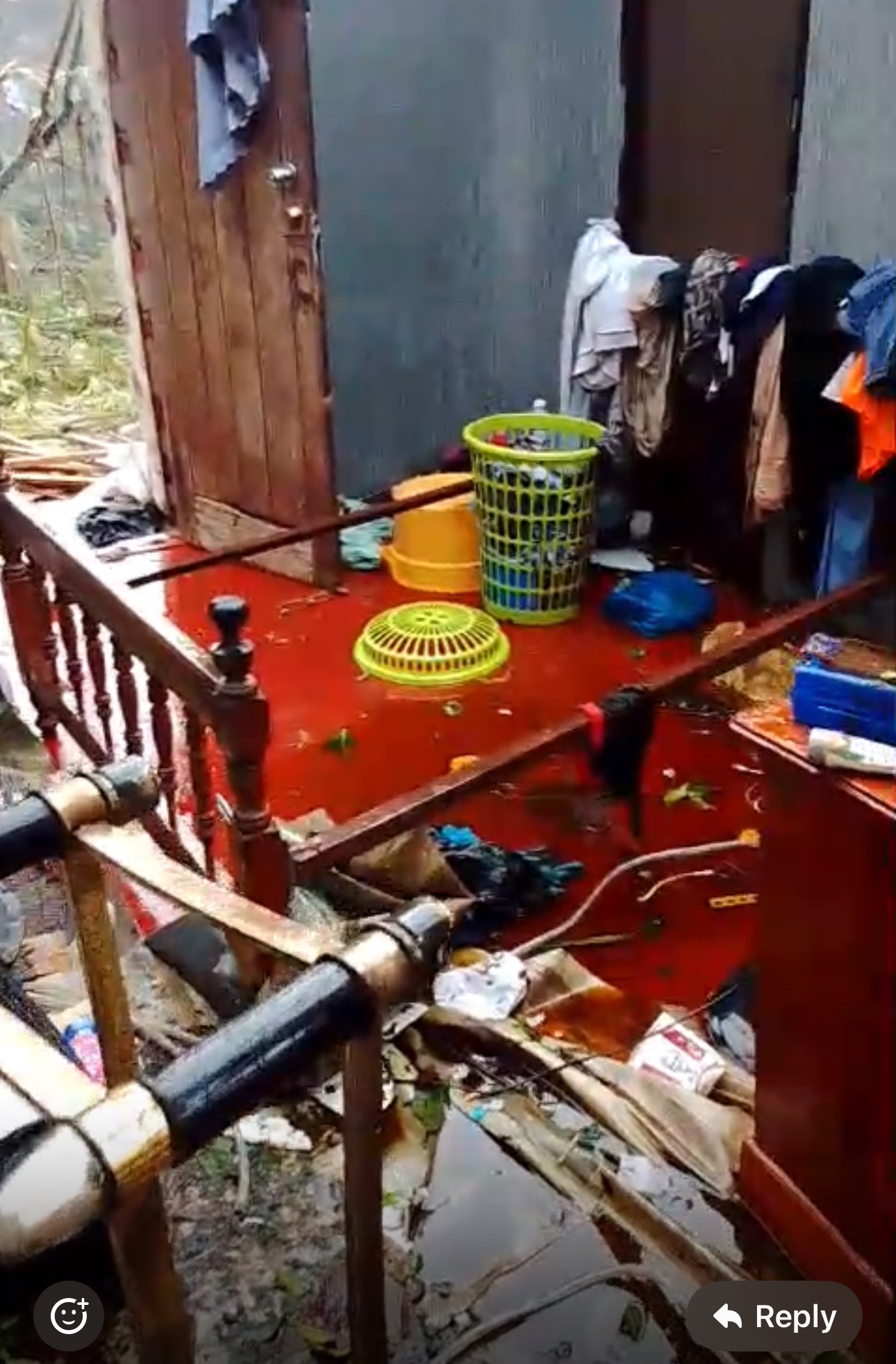 Help Nadean's Family Rebuild After Hurricane campaign photo, 6 of 8