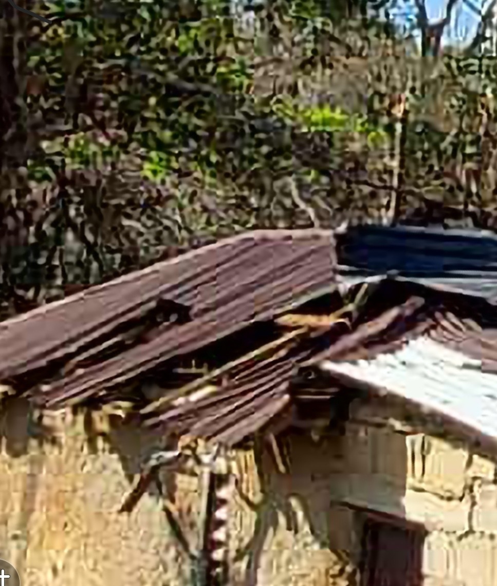 Help my mother and brother rebuild after Melissa campaign photo, 5 of 8