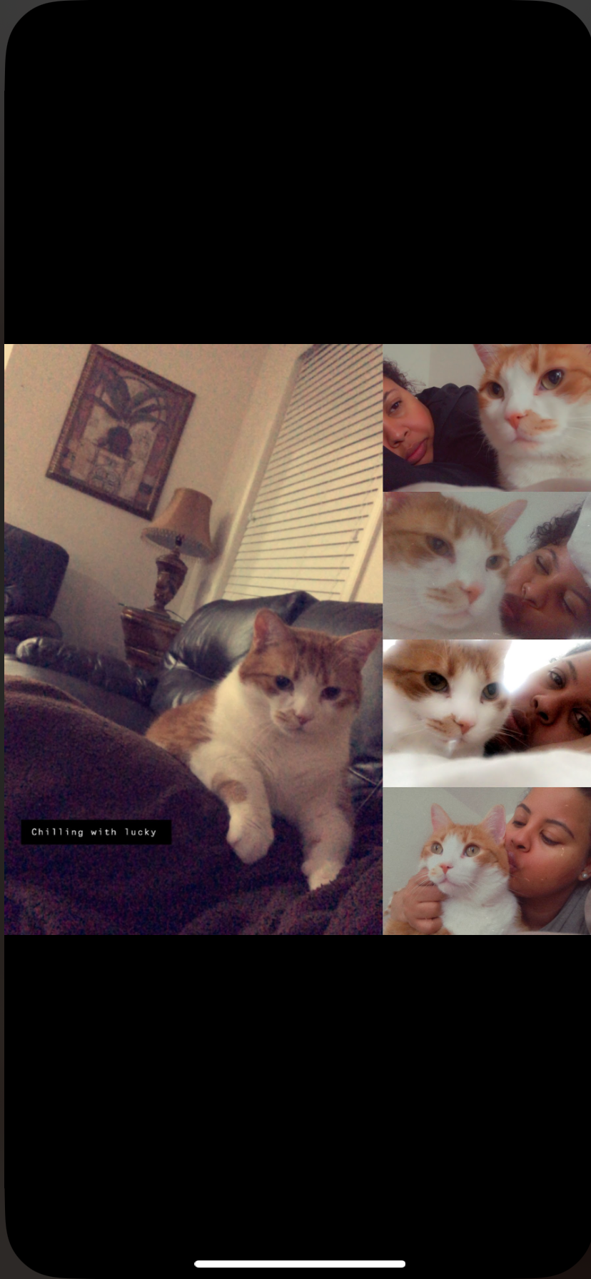 User-uploaded image 1