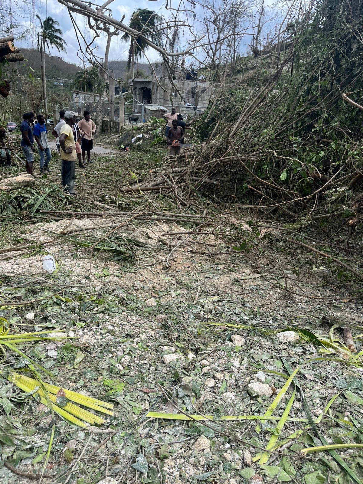 Help Rebuild Eden, Jamaica, After Hurricane campaign photo, 4 of 8