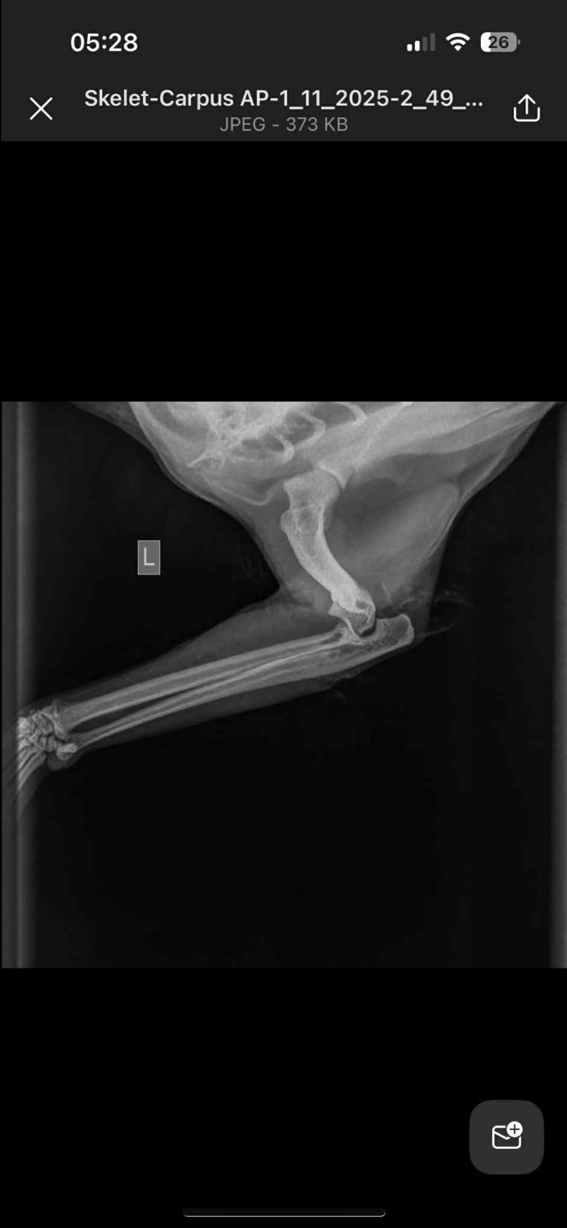 Poes heeft dringend operatie nodig campaign photo, 4 of 5