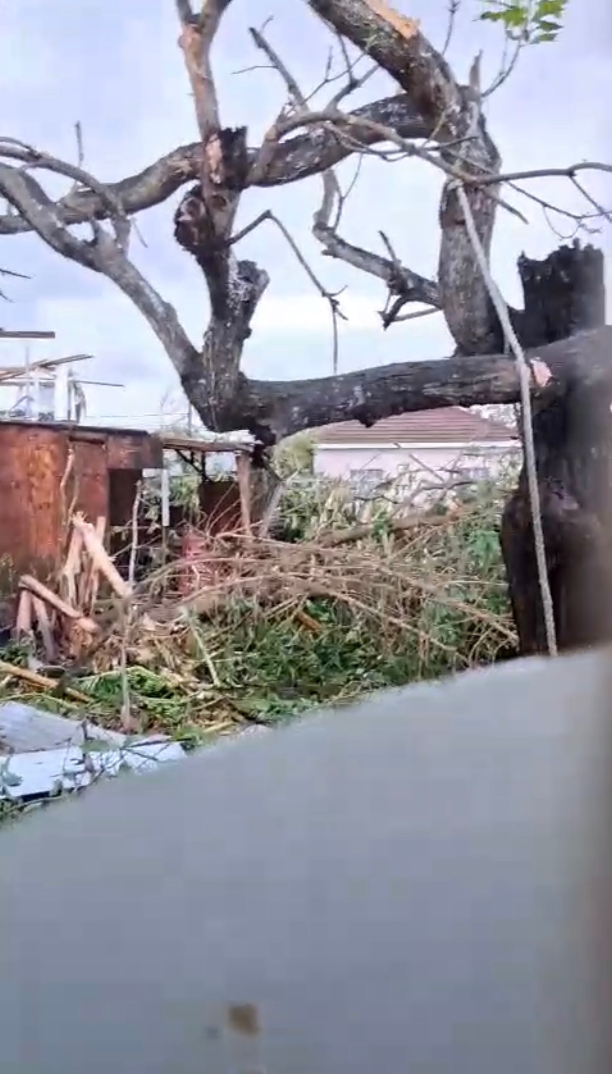 Help my Mother rebuild her home after hurricane Melissa campaign photo, 5 of 8