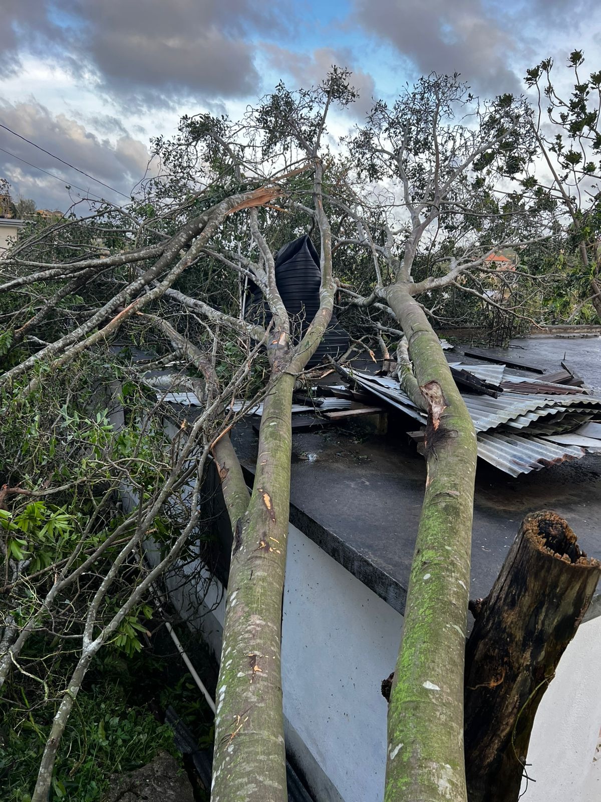 Hurricane Melissa Relief campaign photo, 4 of 7