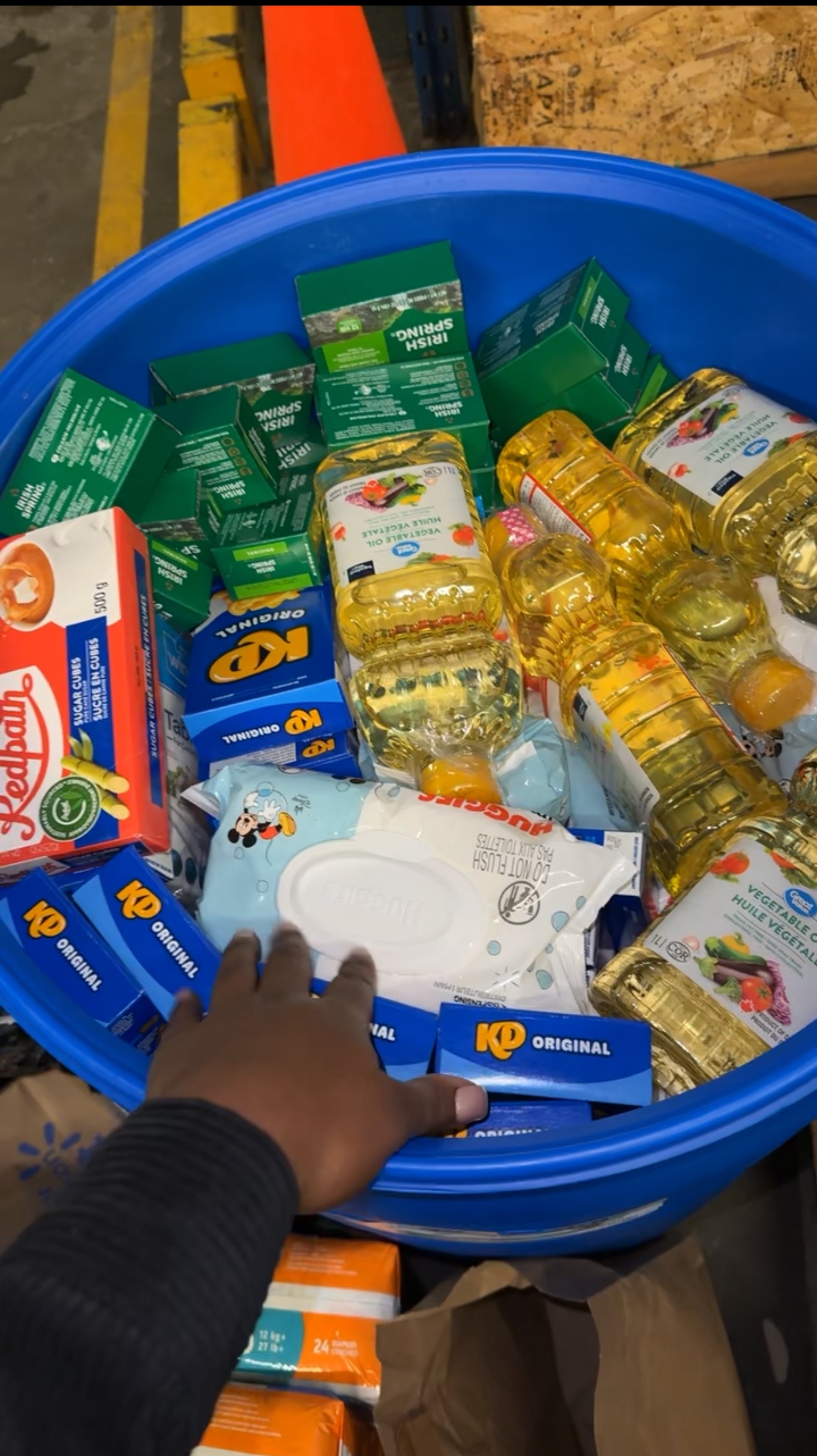 Helping Hands for Jamaica: From My Heart to Home campaign photo, 6 of 7