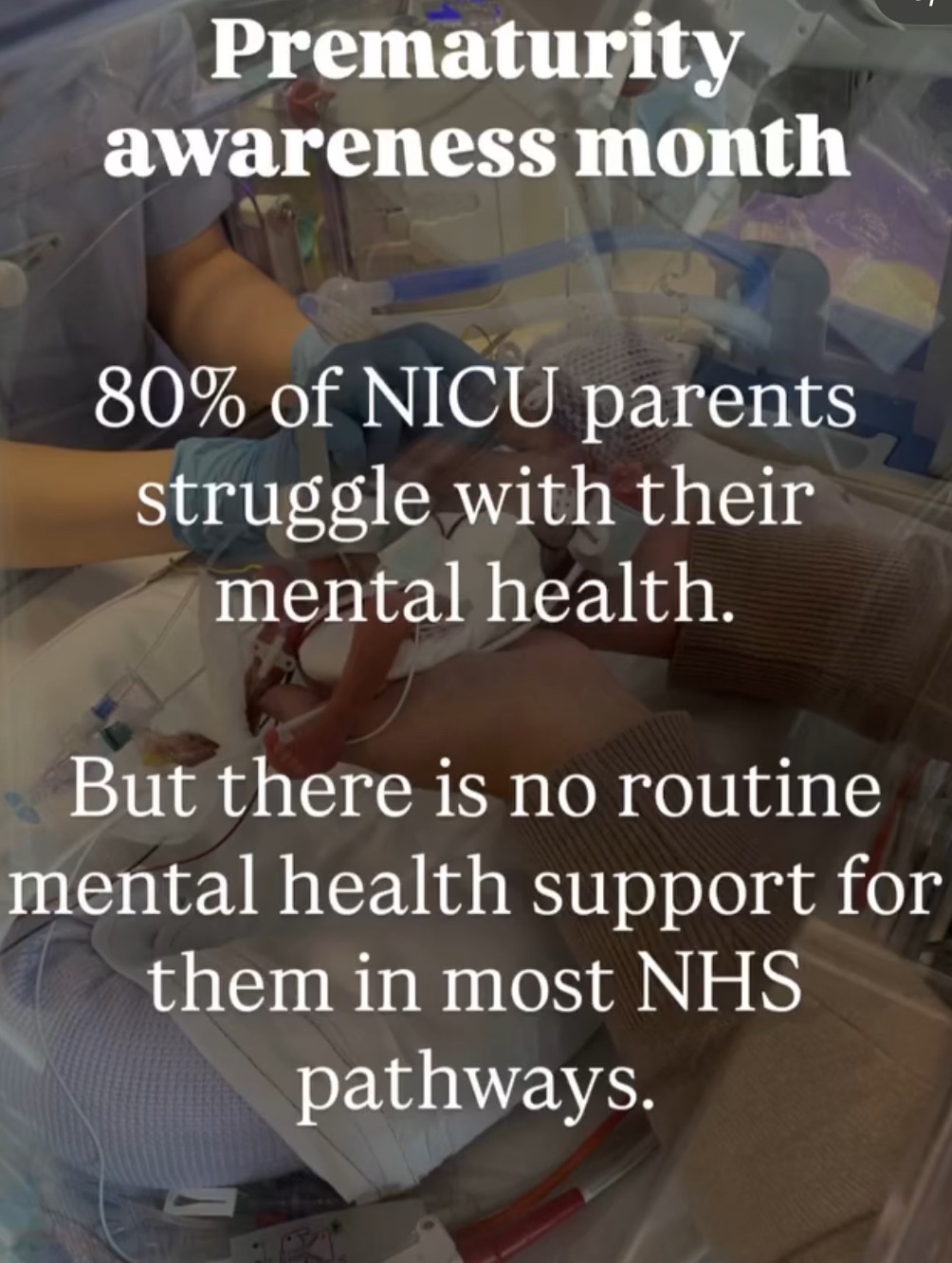 User-uploaded image 1