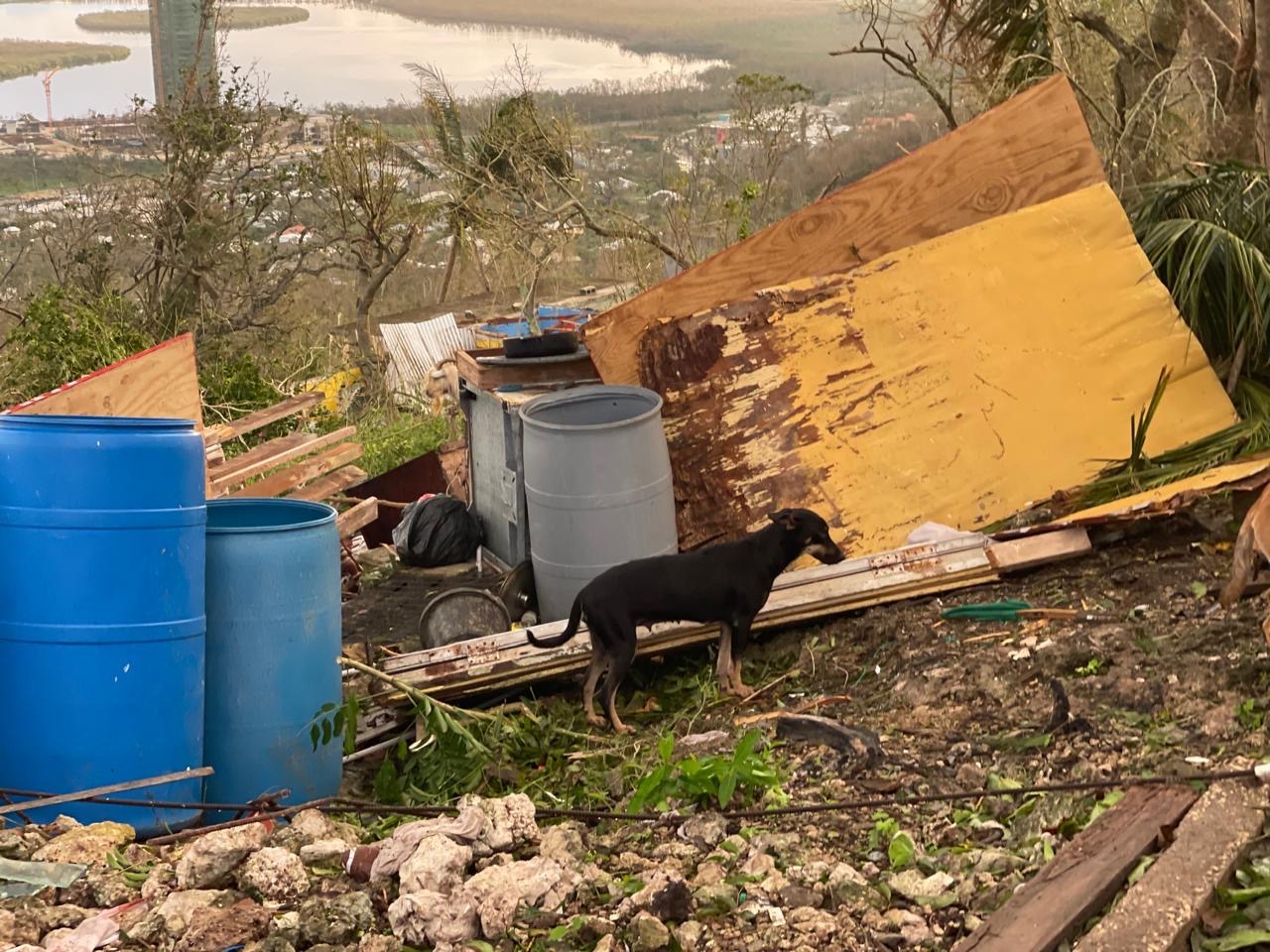 Support Jamaican Families Devastated by Hurricane campaign photo, 7 of 8