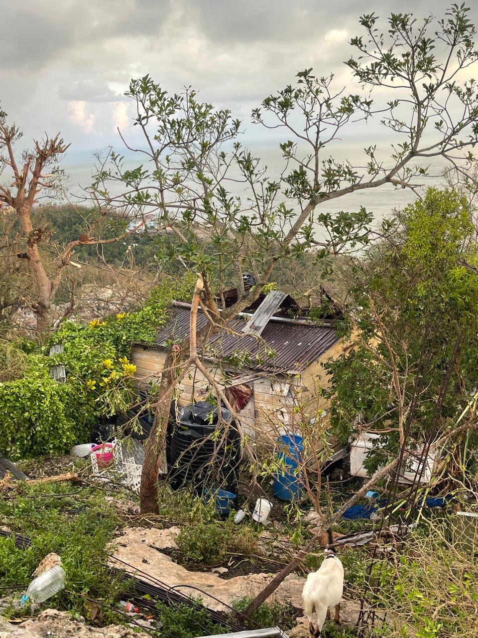 Support Jamaican Families Devastated by Hurricane campaign photo, 6 of 8