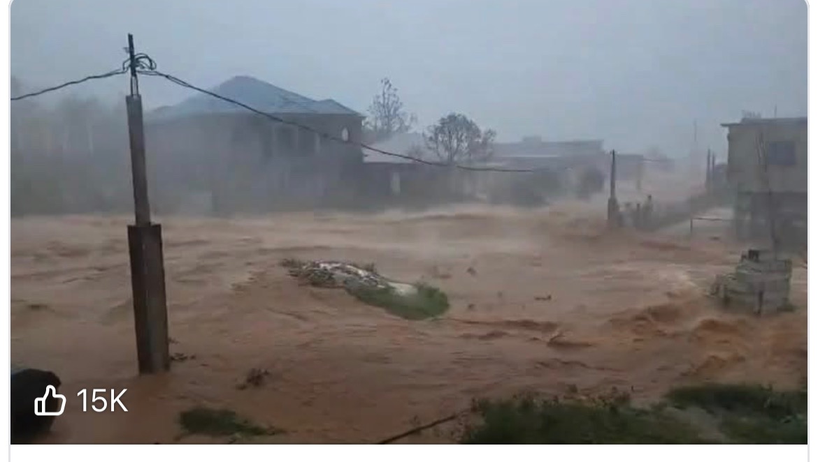 Support Esher’s Recovery After Hurricane Melissa. campaign photo, 4 of 5