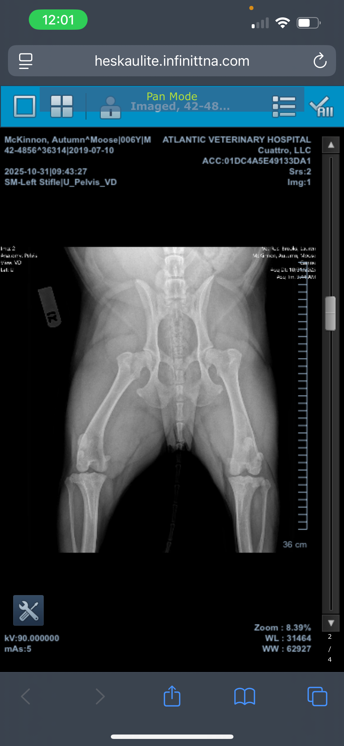 Help Moose with CCL Surgery campaign photo, 5 of 8