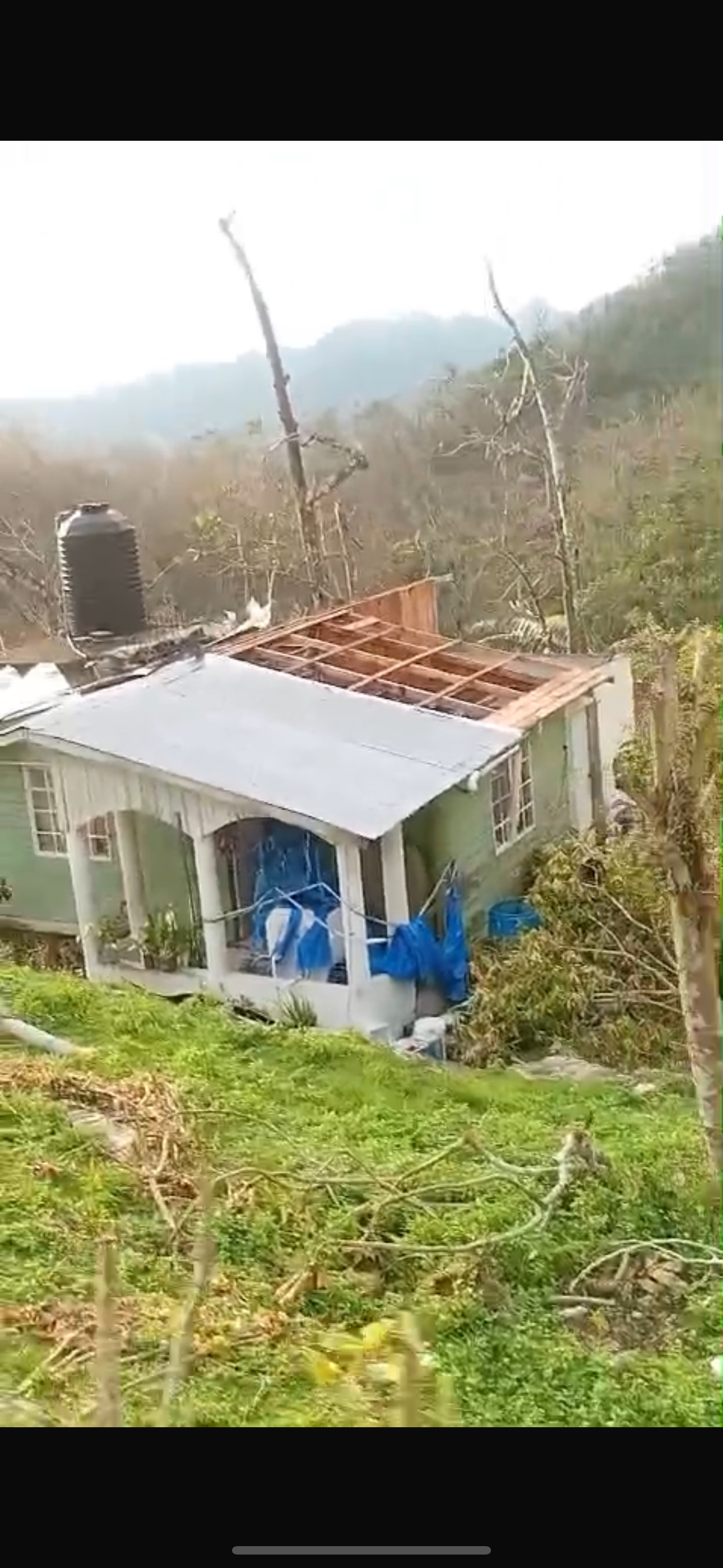 Rebuild Bird Mountain: Help Hurricane Victims campaign photo, 2 of 8