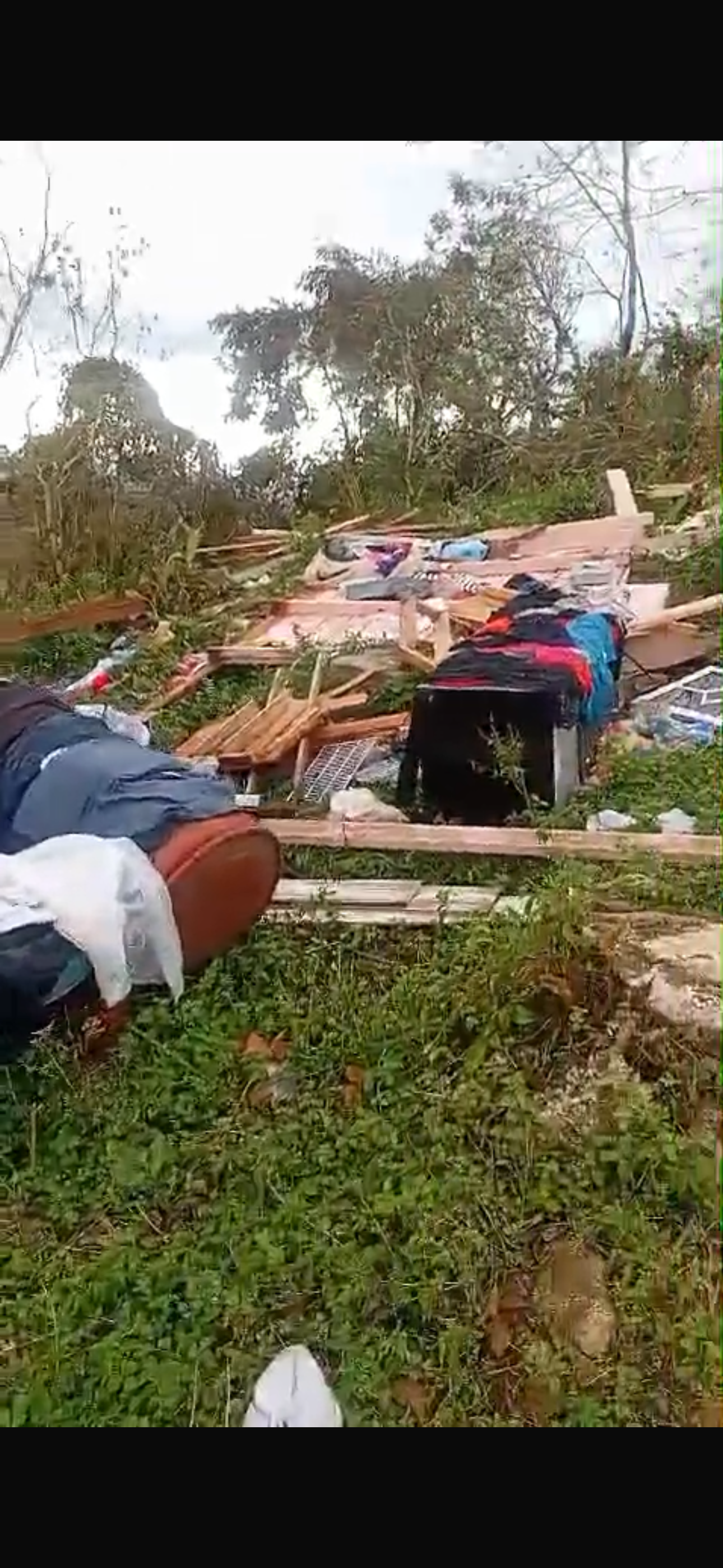 Rebuild Bird Mountain: Help Hurricane Victims campaign photo, 6 of 8