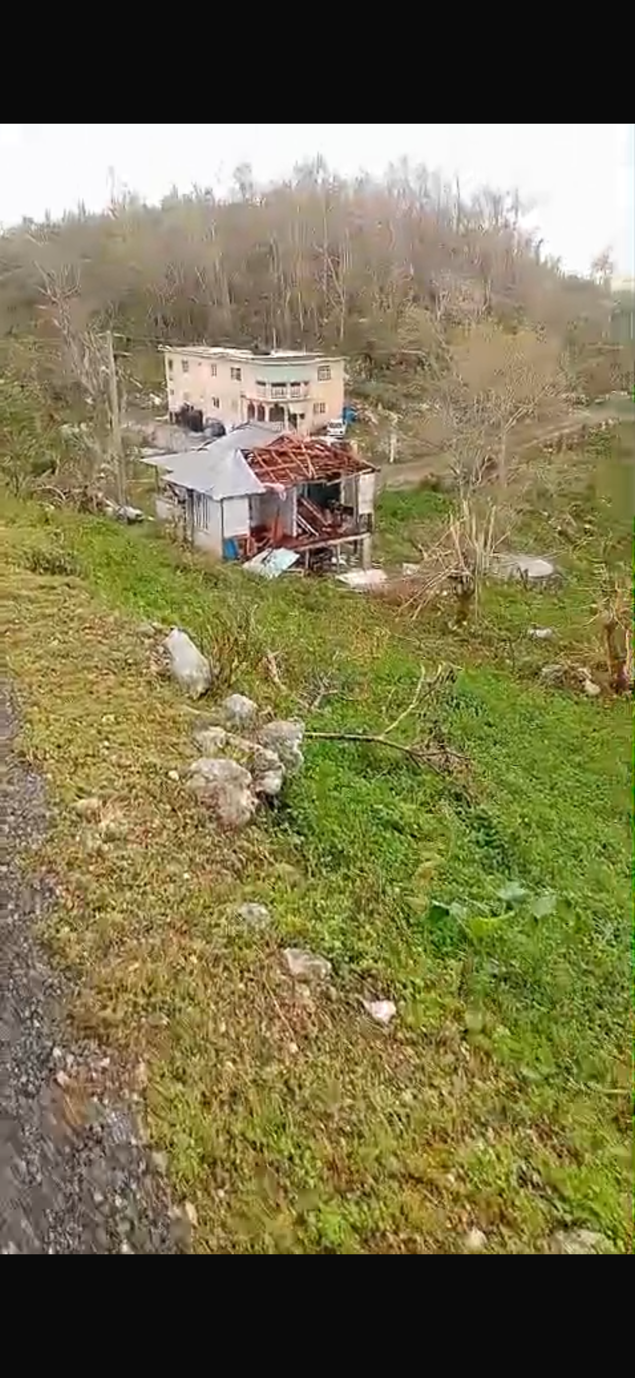 Rebuild Bird Mountain: Help Hurricane Victims campaign photo, 5 of 8