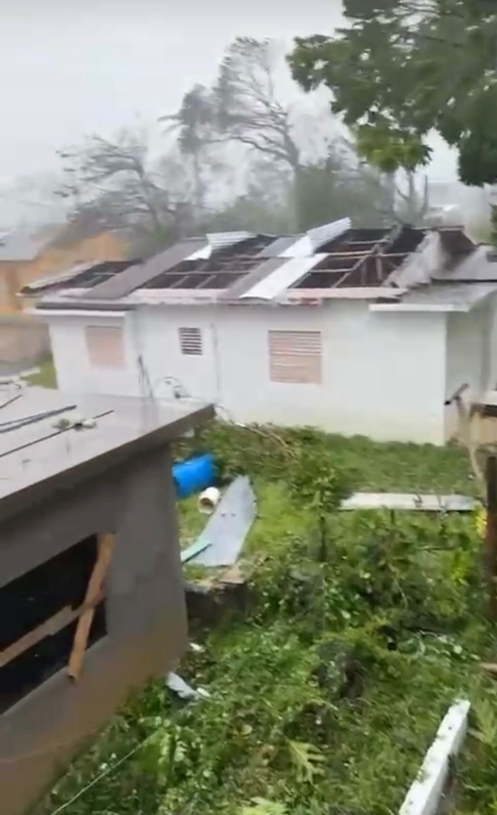 Help us support 100 families in Frome, Jamaica by December campaign photo, 2 of 6