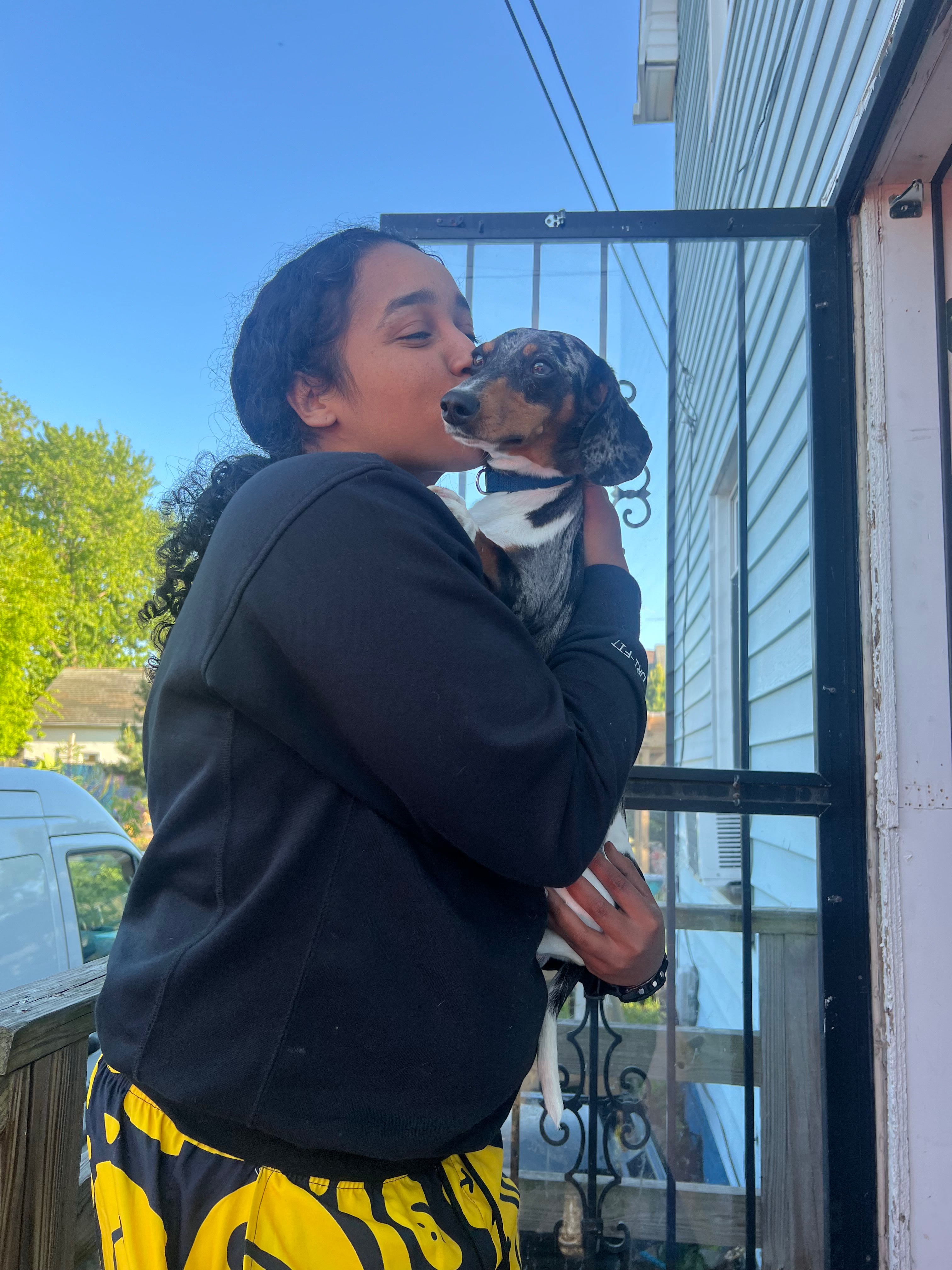 Donate to Save Gabby's Dogs and Honor Her Life campaign photo, 5 of 8
