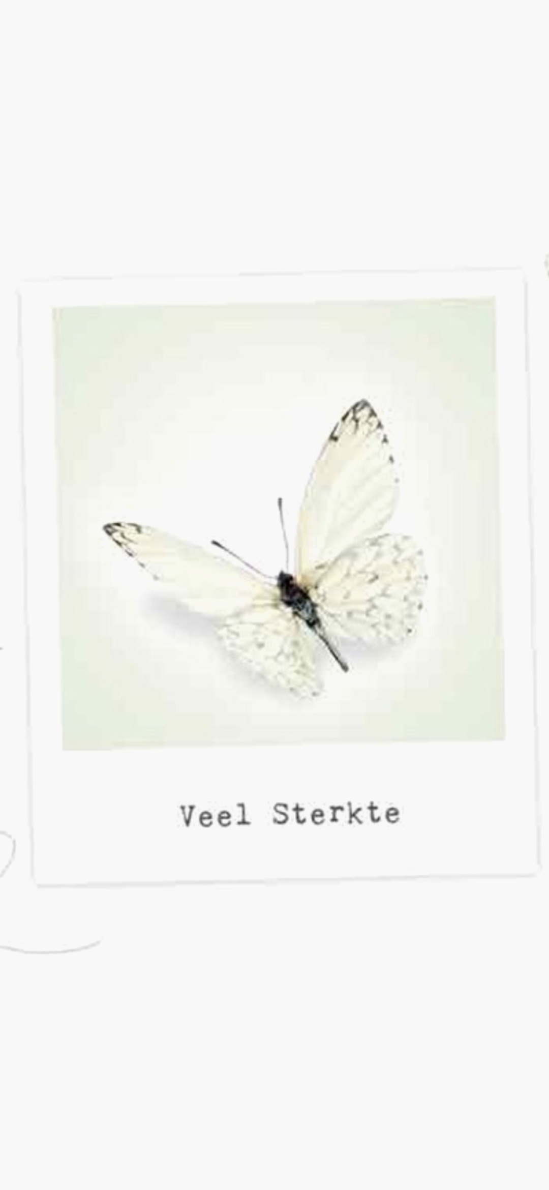 User-uploaded image 1