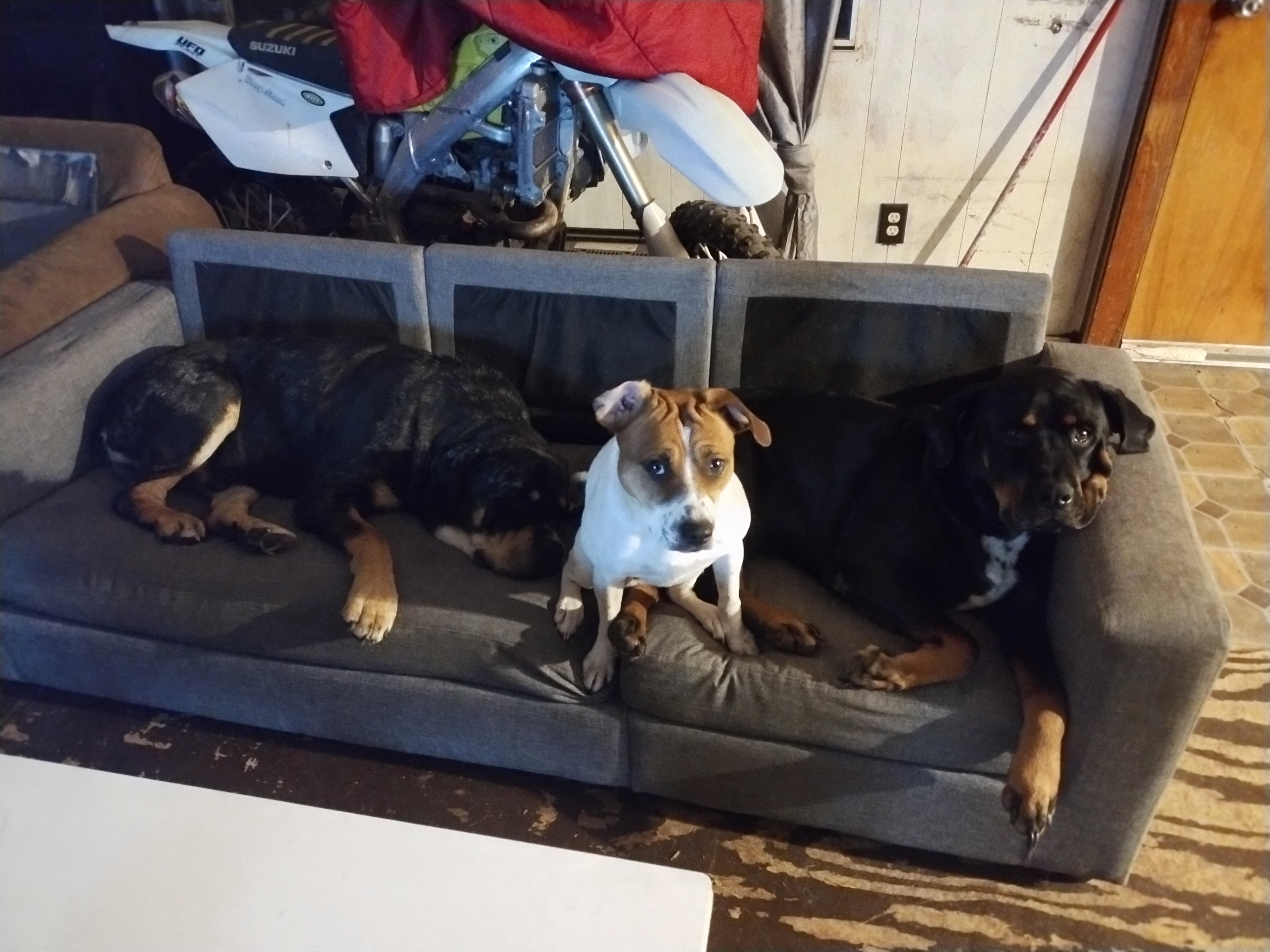 Help Missy Get Life-Saving Surgery campaign photo, 4 of 8