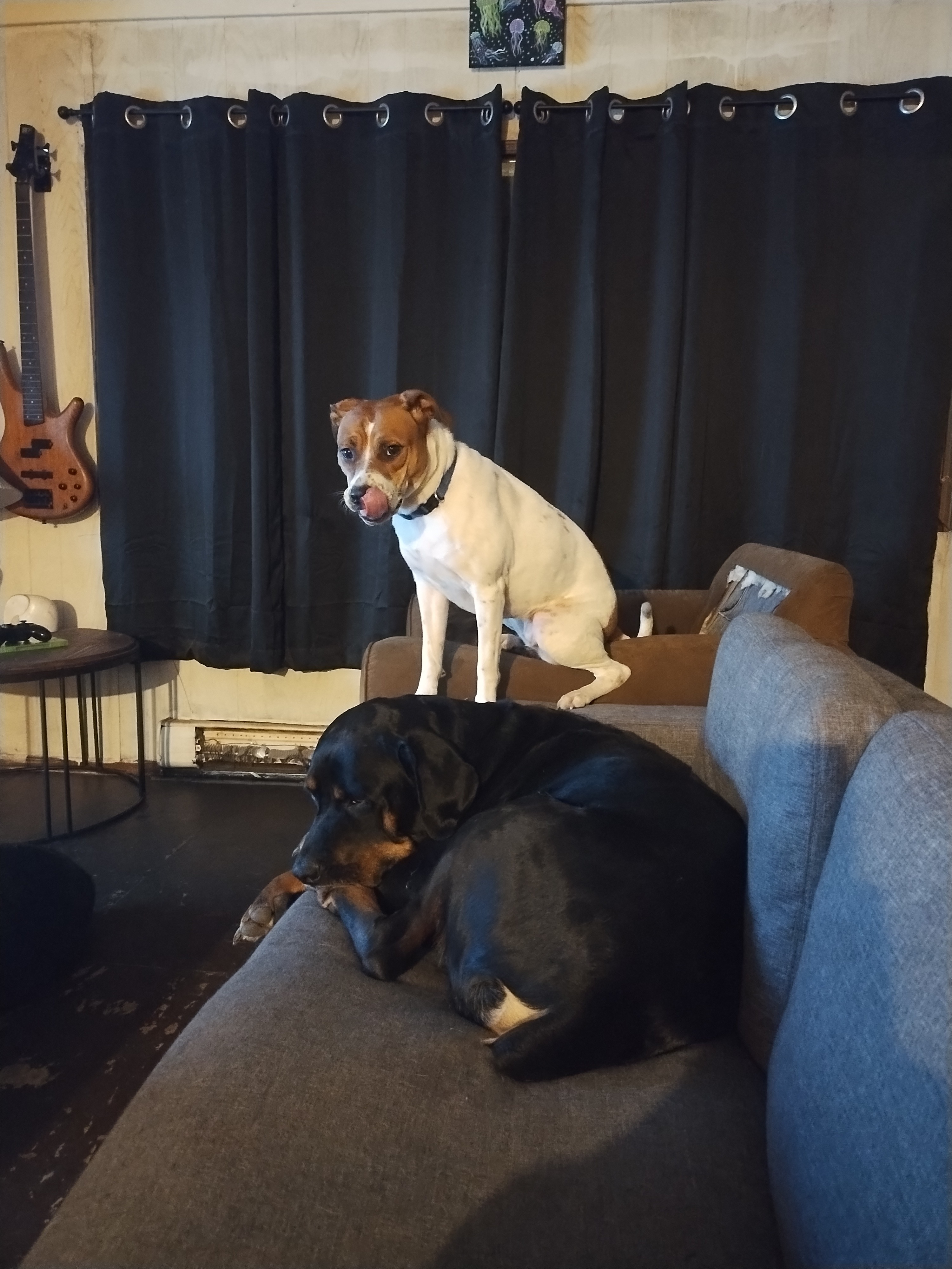 Help Missy Get Life-Saving Surgery campaign photo, 5 of 8