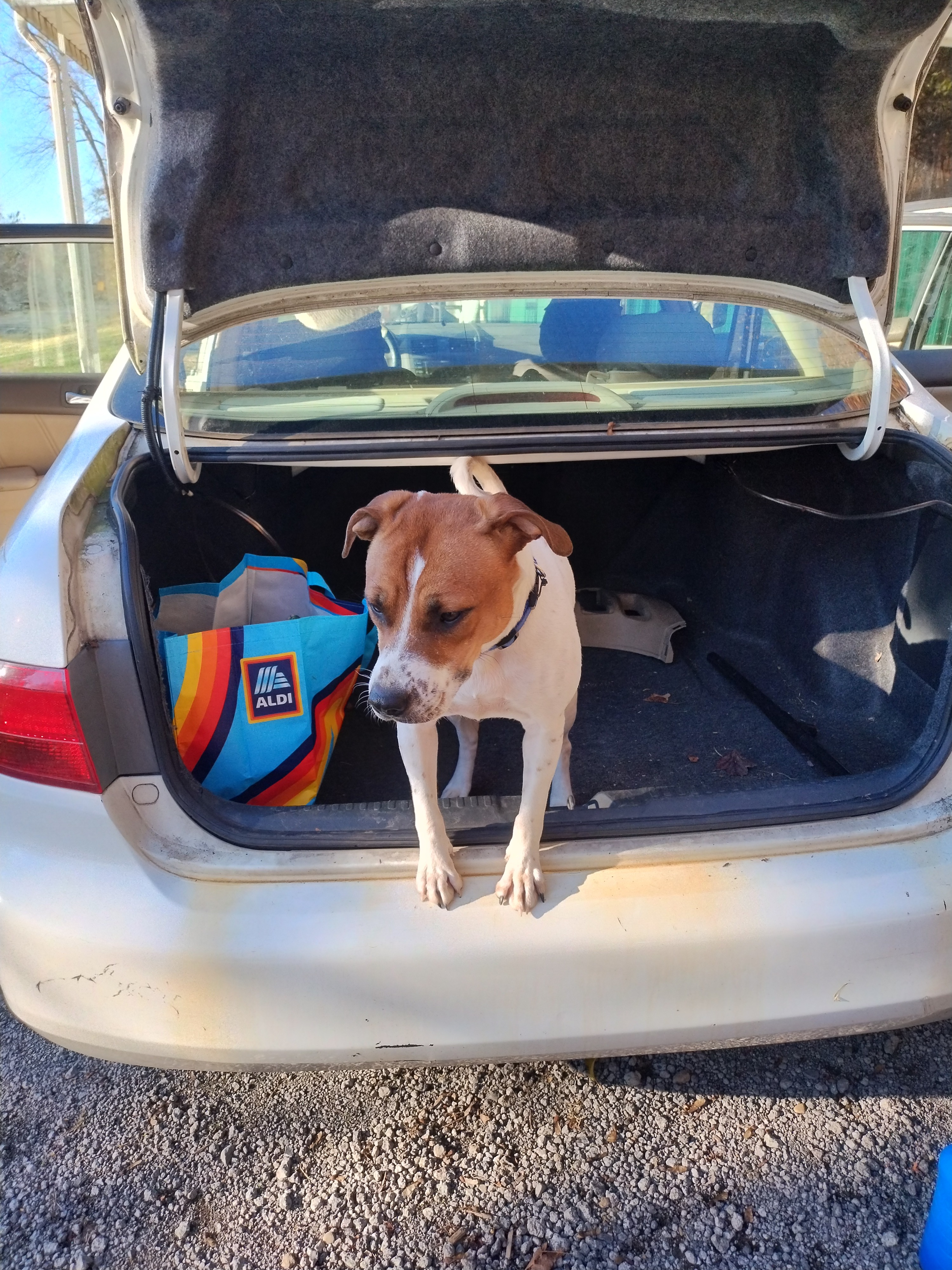 Help Missy Get Life-Saving Surgery campaign photo, 6 of 8