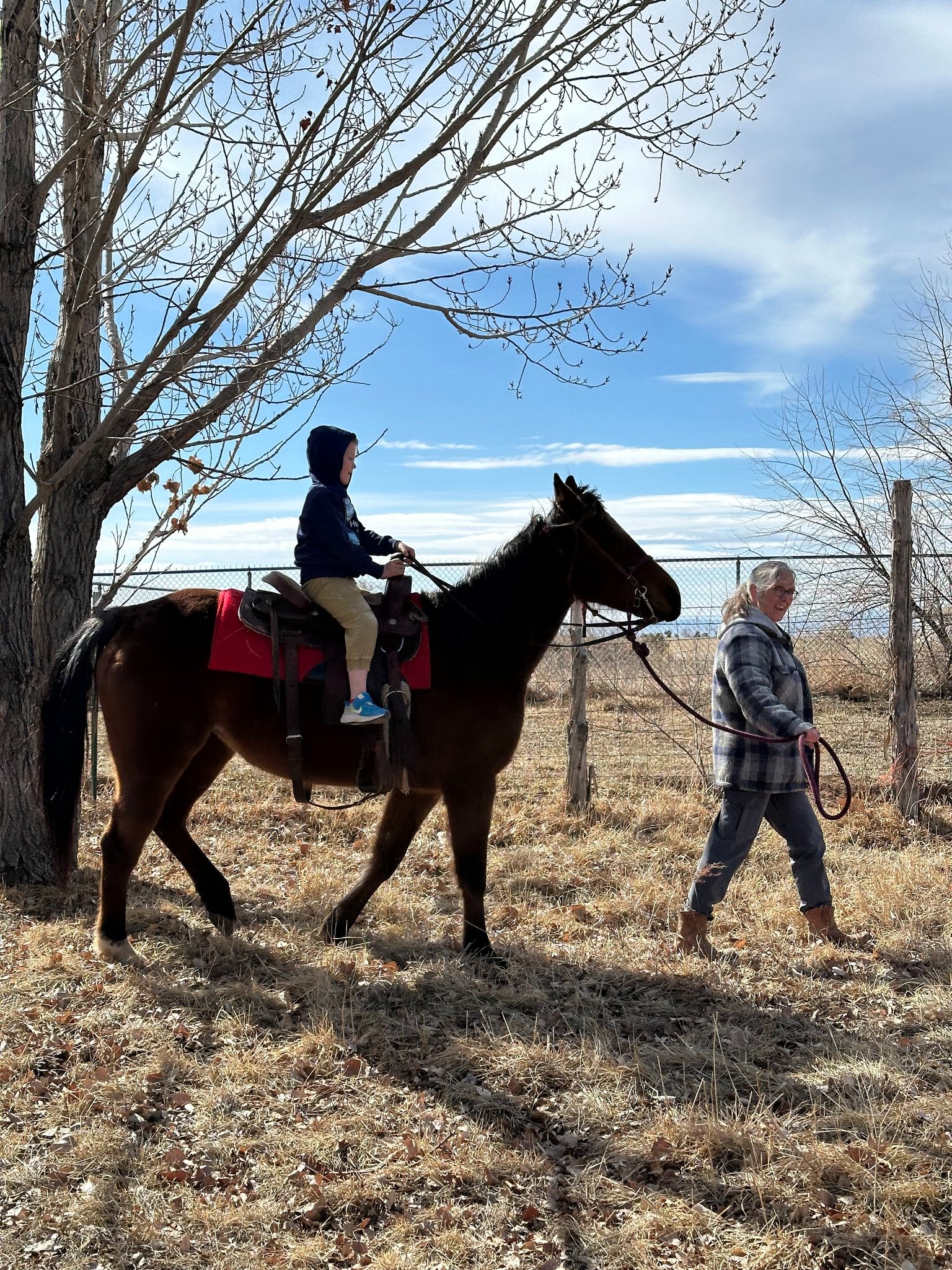 User-uploaded image 1