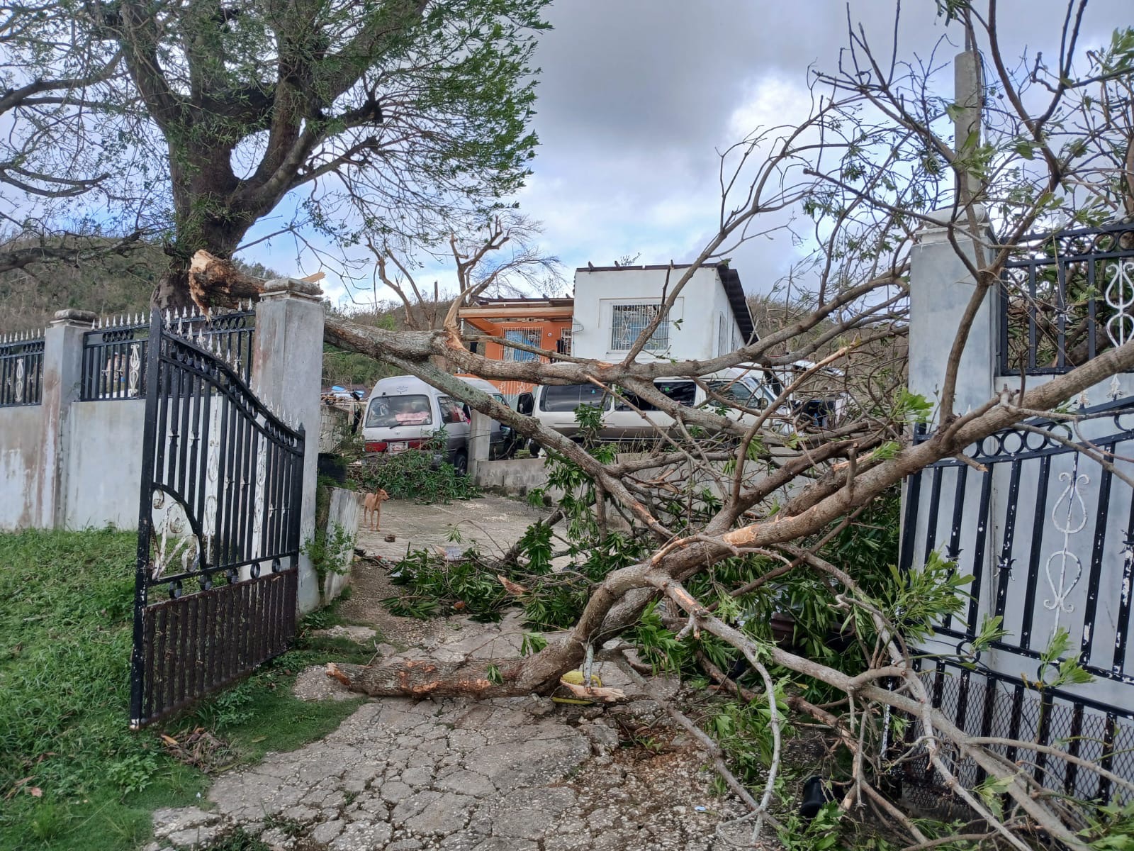 Support a Family's Recovery After Hurricane campaign photo, 6 of 8