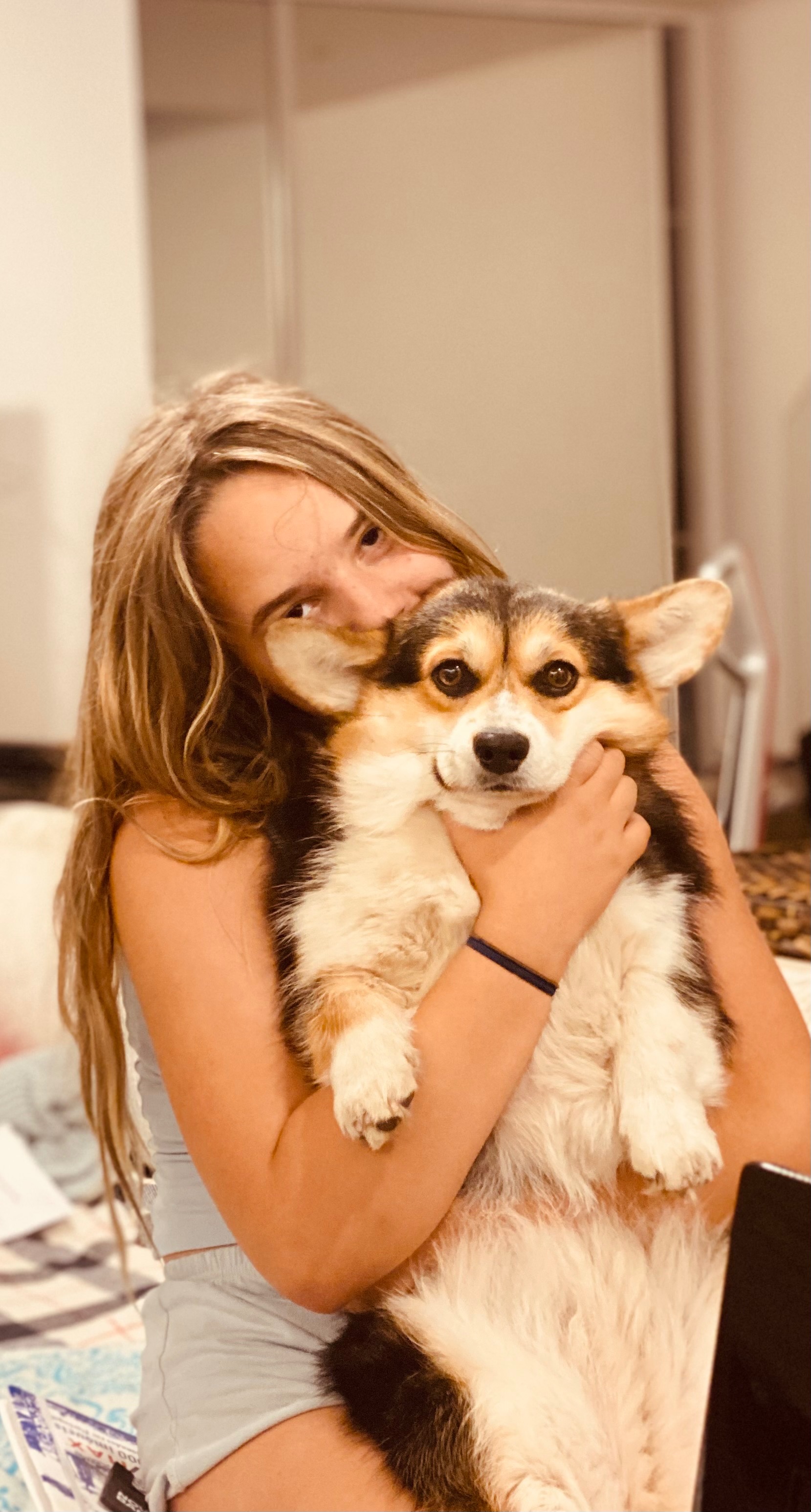 Our Corgy Pembroke needs urgent surgery and help campaign photo, 2 of 7